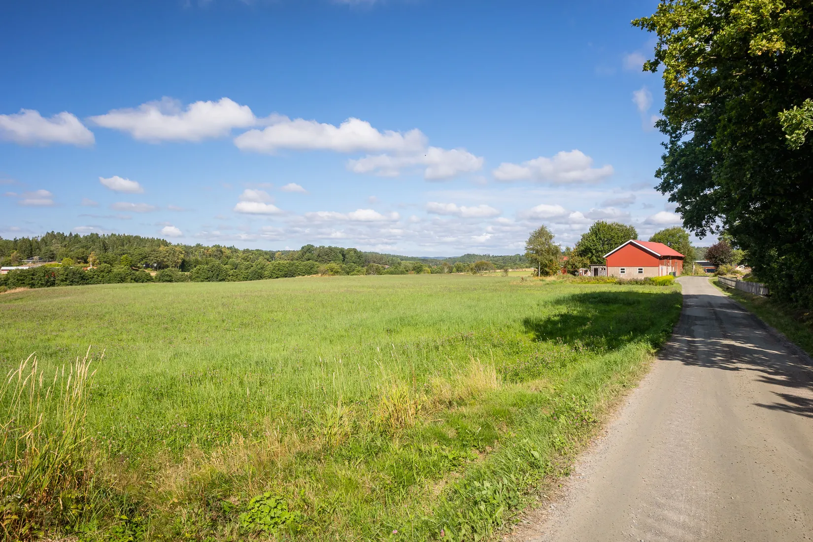 Gård/Skog, Uspastorp 150, Alafors, Ale
