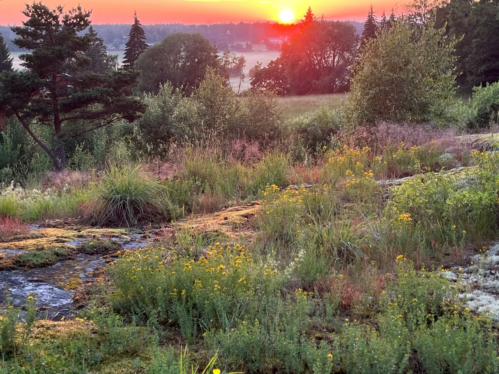 Gård/Skog, Degarövägen 17 och 19, Norrtälje