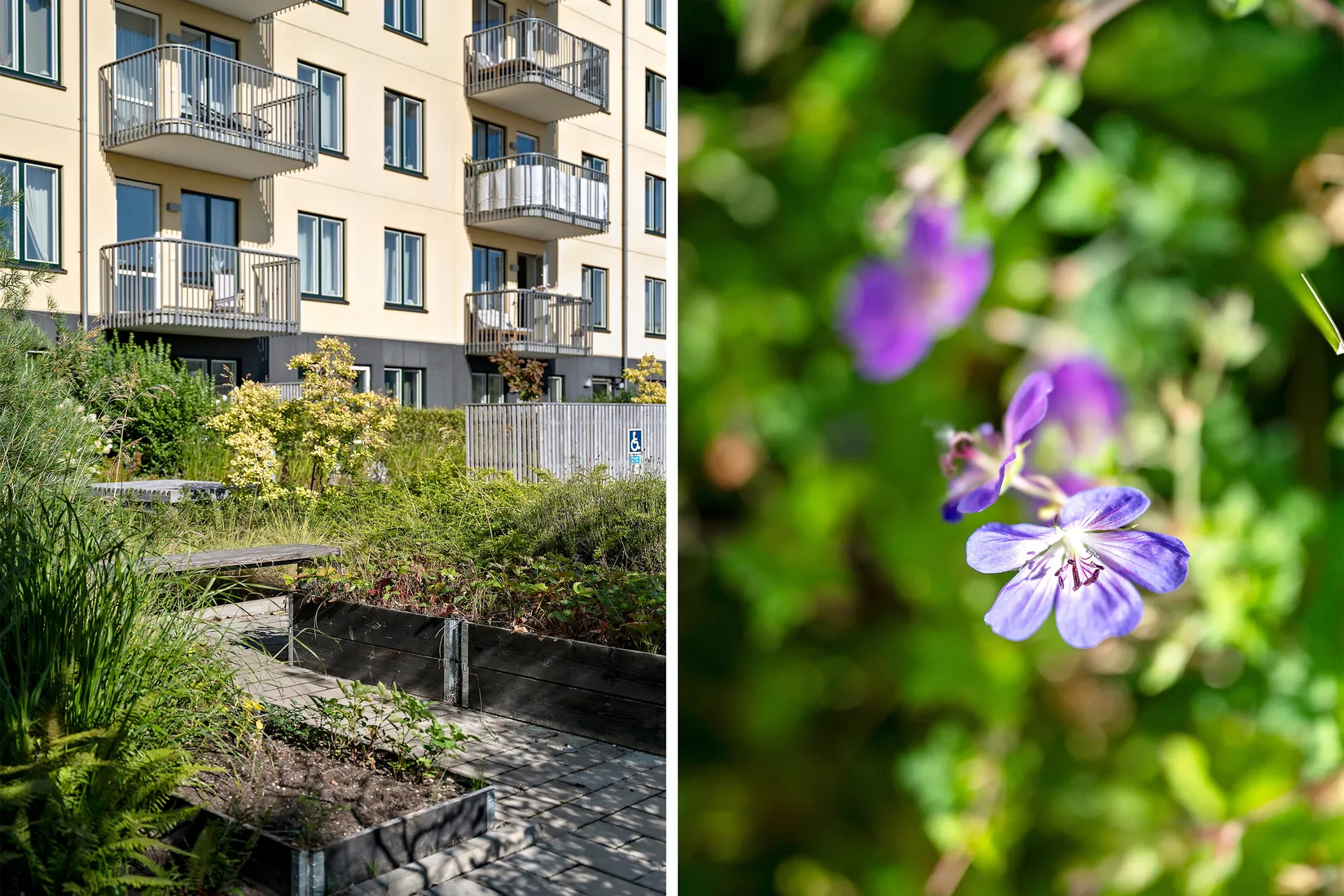 Bostadsrätt, Räfsgatan 23B, Elinegård, Malmö
