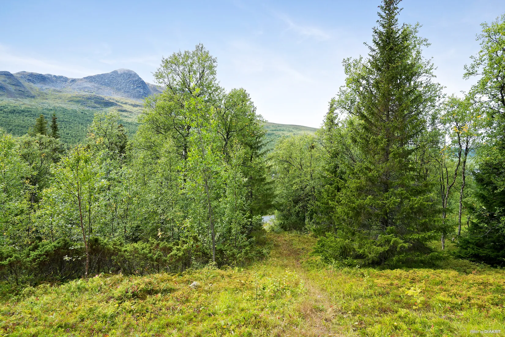 Fritidshus, Fättjaur 22, Kittelfjäll, Vilhelmina