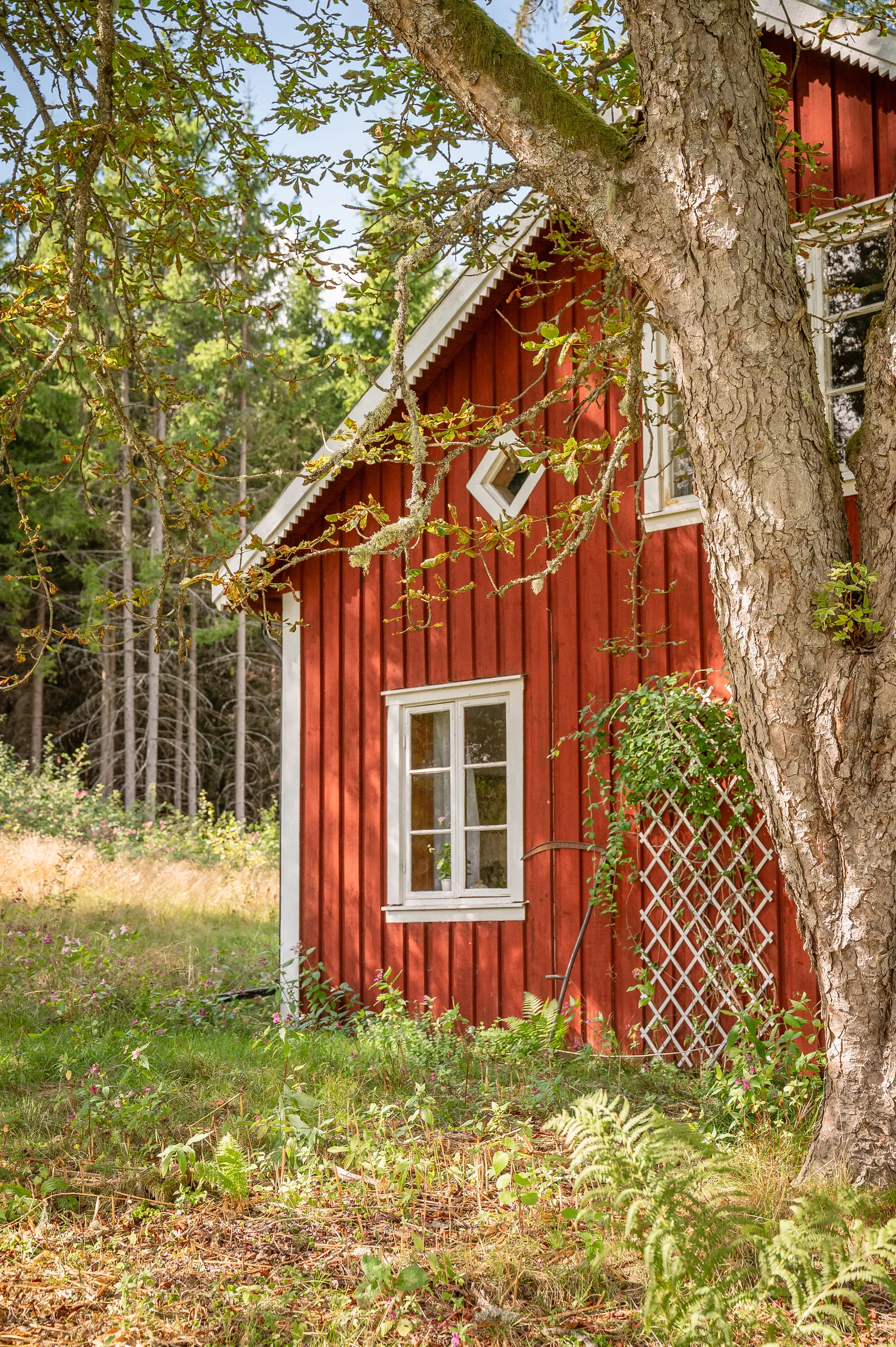 Fritidshus, Bodetta Norra Rönningen 1, Bodetta, Kil