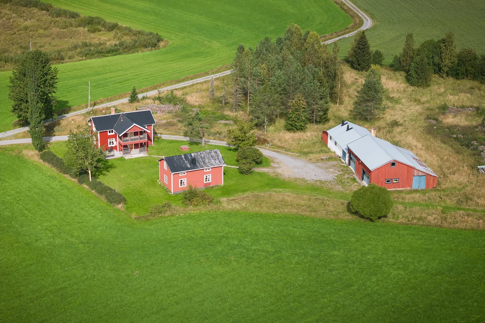 Gård/Skog, Nolbyn 47, Lövånger, Skellefteå