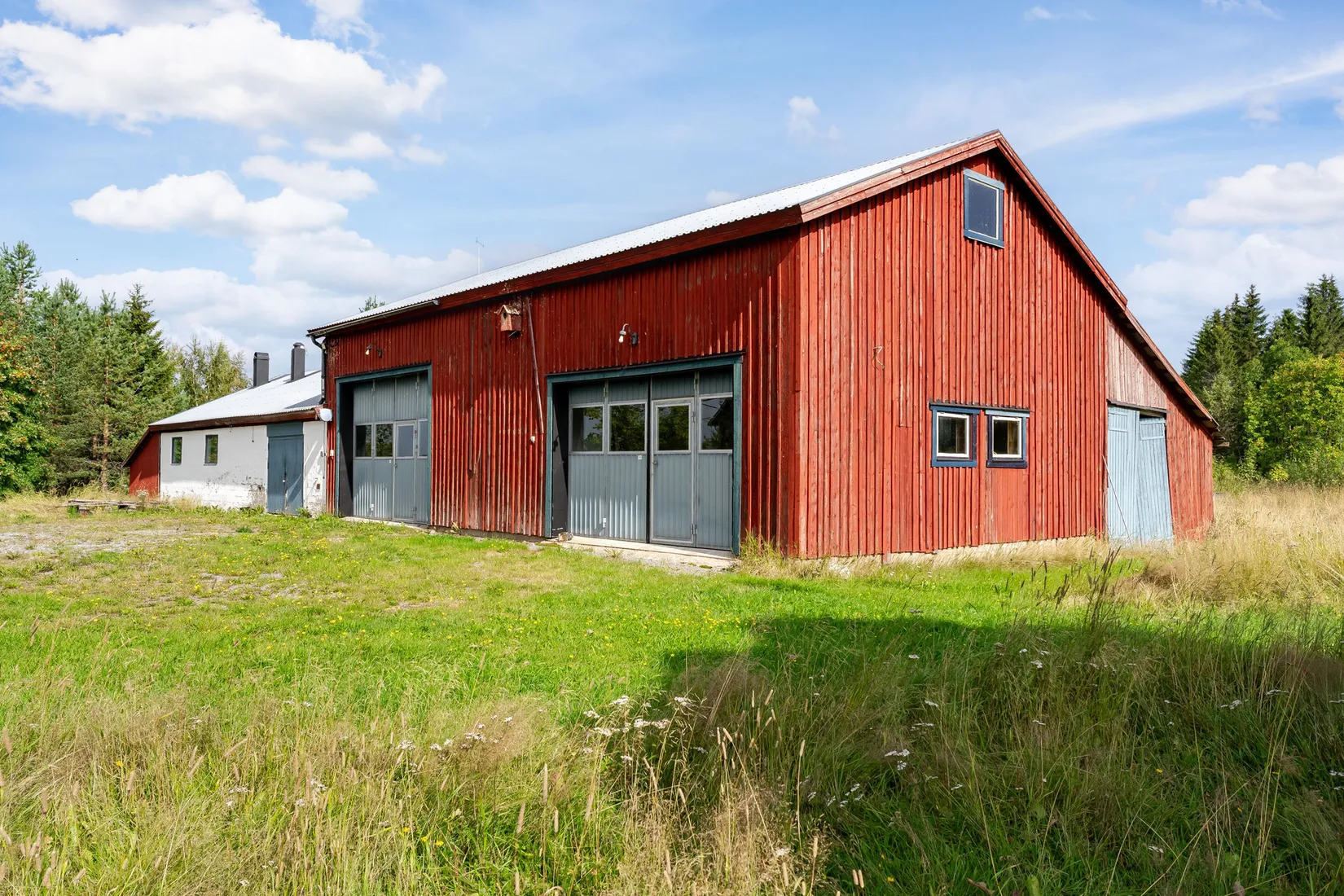 Gård/Skog, Nolbyn 47, Lövånger, Skellefteå