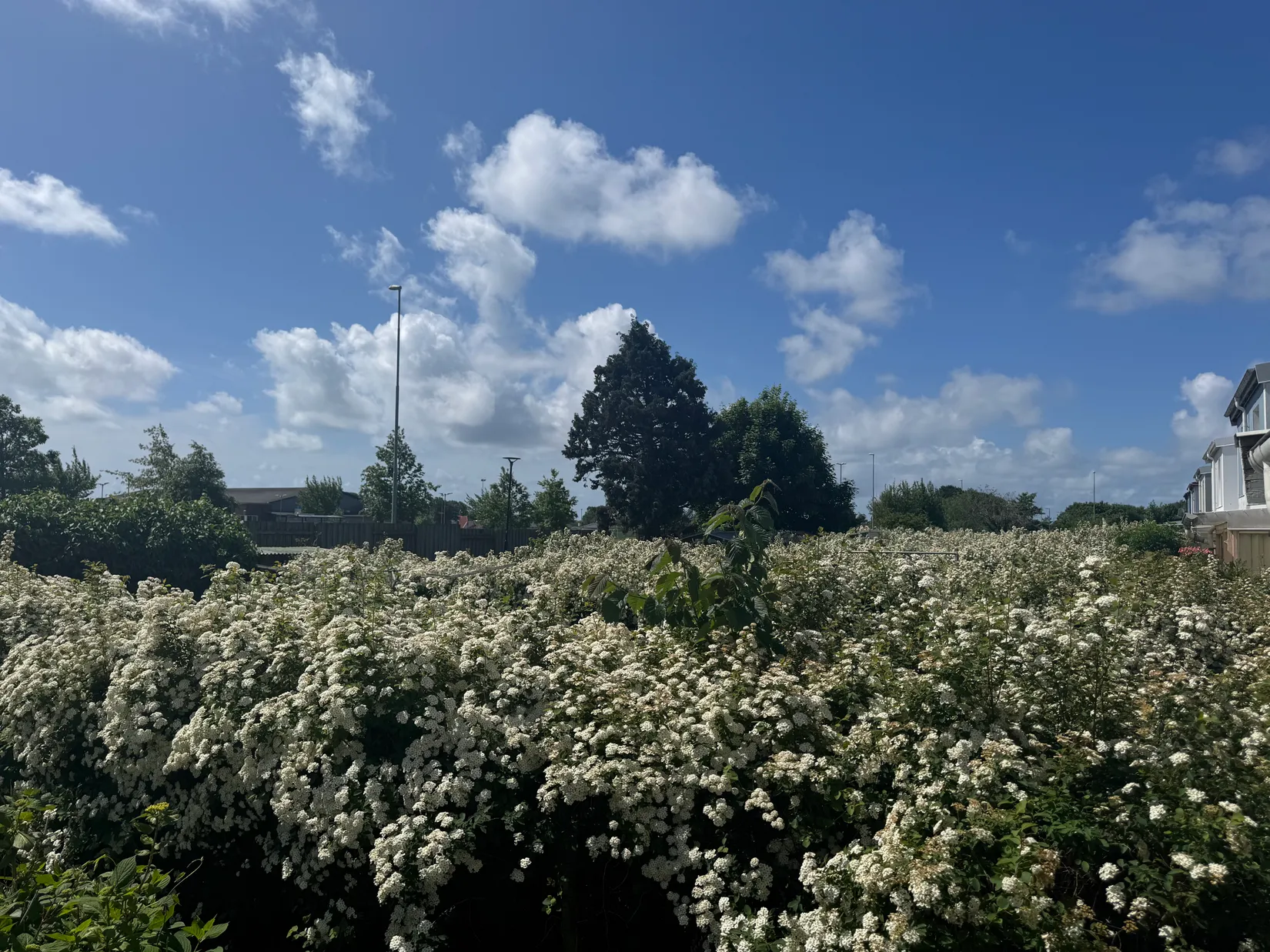 Radhus, Fåborgsvägen 15F, Herting, Falkenberg