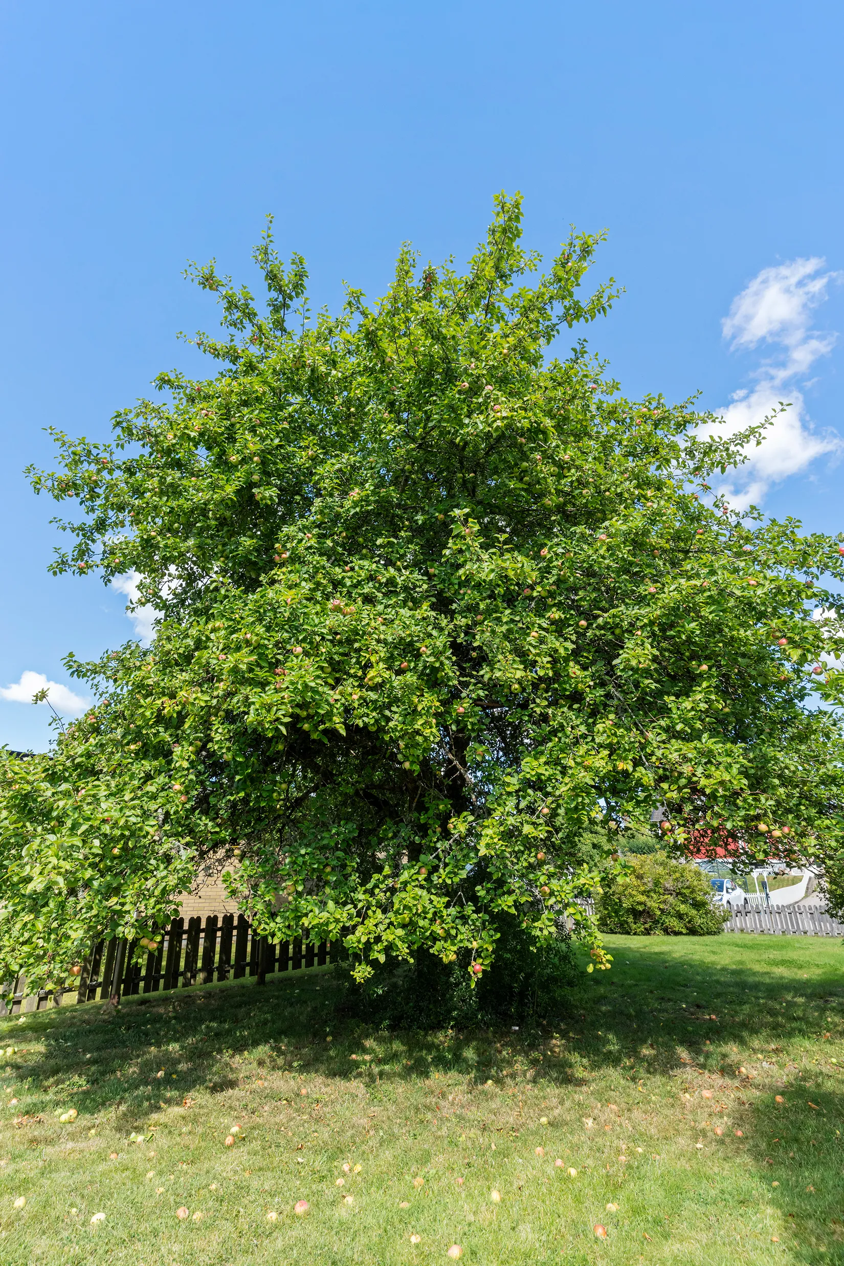 Villa, Skrivaregatan 11, Skoftebyn, Trollhättan