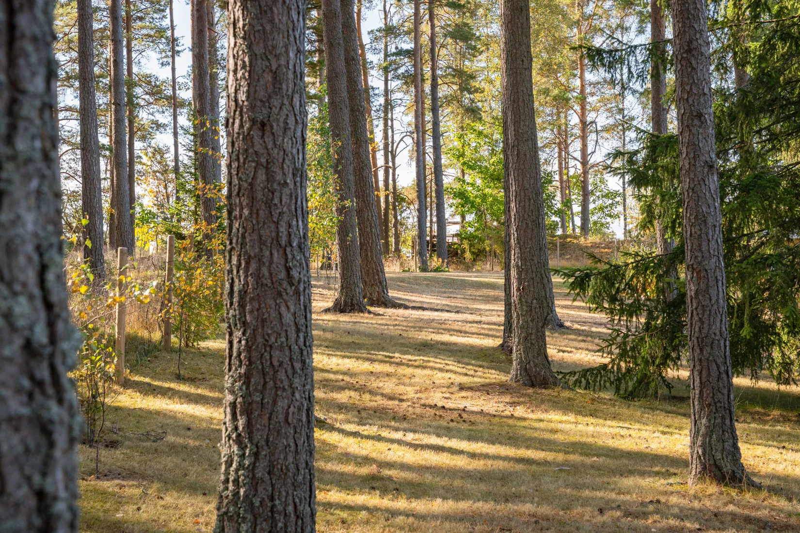 Fritidshus, Stigstorp 118, Finspång