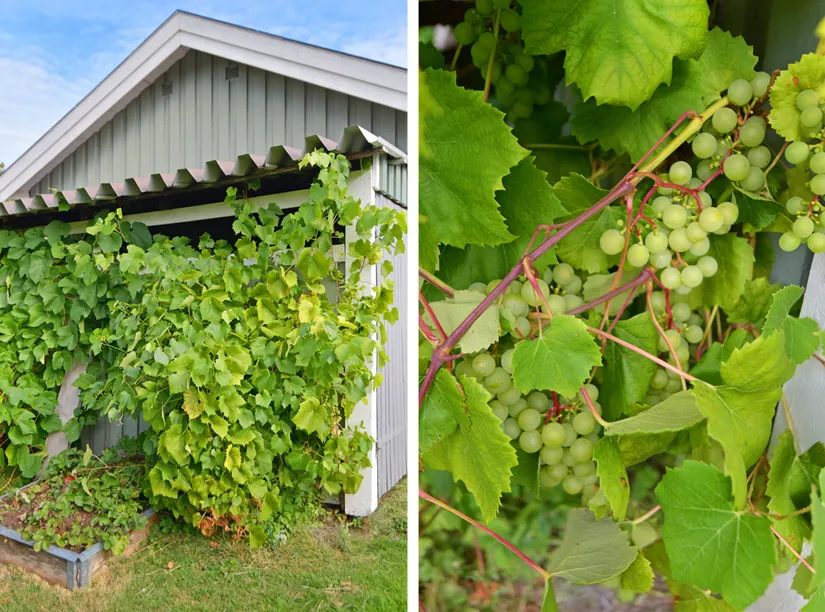 Villa, Skälby gårds väg 12, Skälby, Järfälla