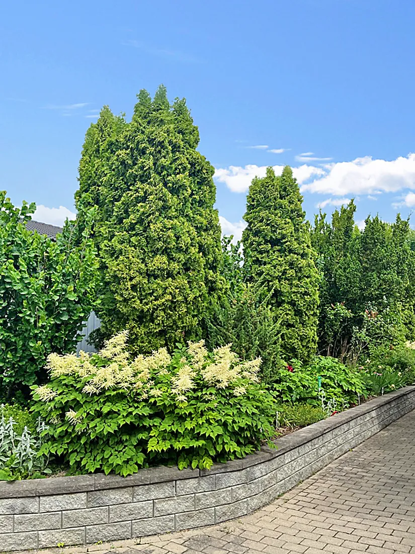 Villa, Skälby gårds väg 12, Skälby, Järfälla