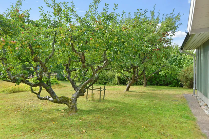 Villa, Skälby gårds väg 12, Skälby, Järfälla