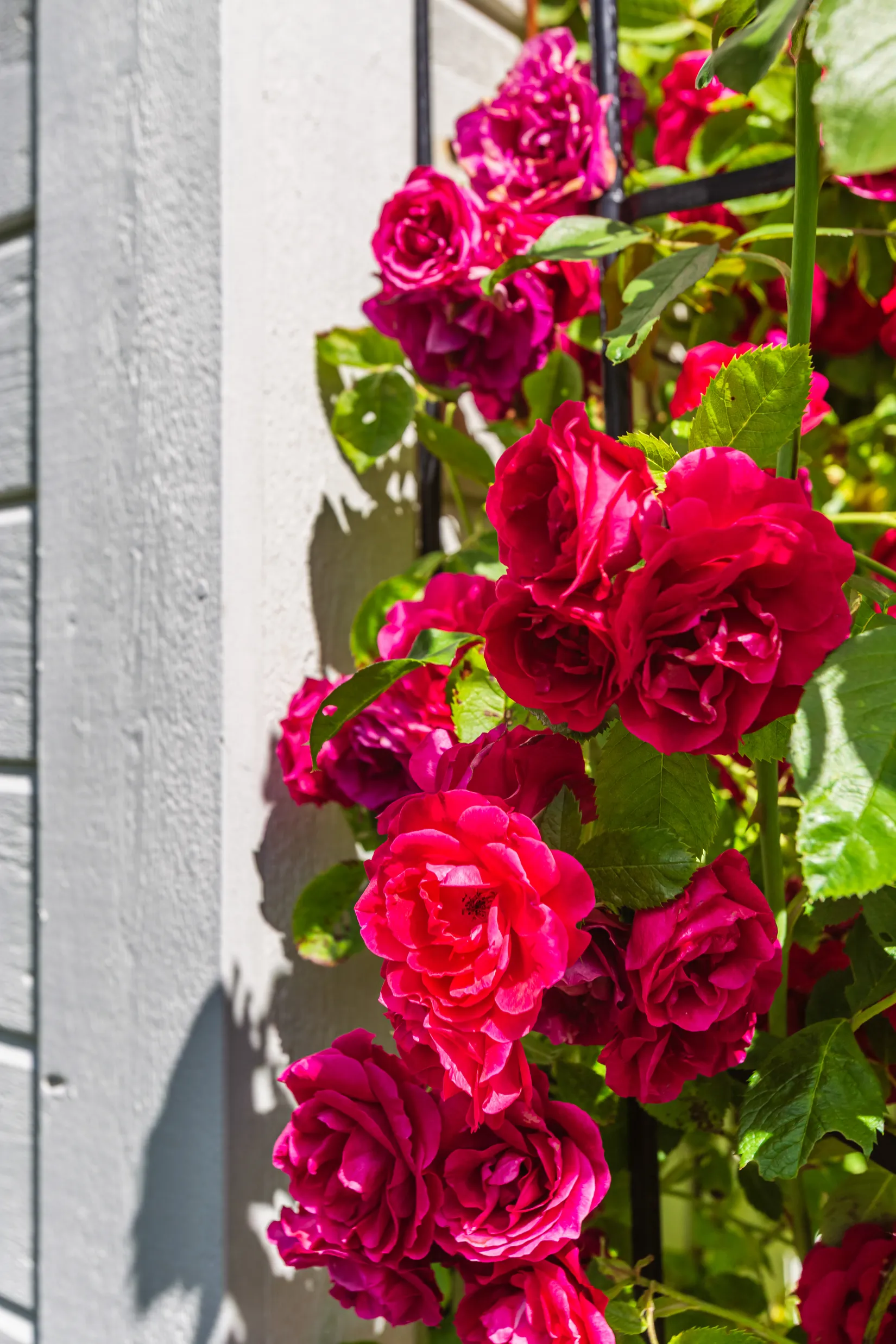 Villa, Ciderfabrikens väg 60, Steninge Slottsby, Sigtuna