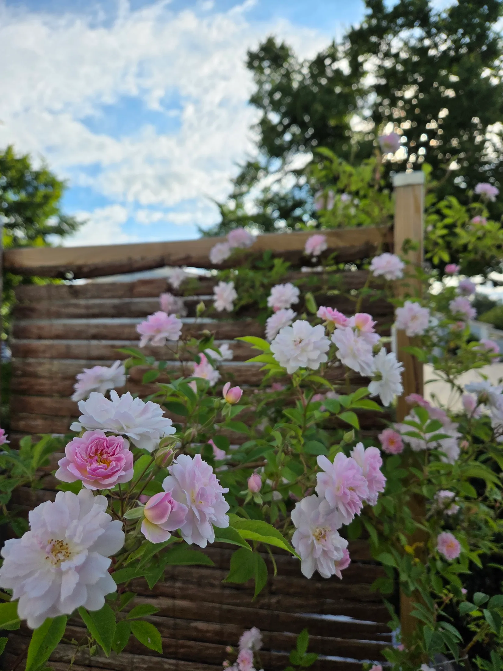 Bostadsrätt, Timmervägen 25 C, Djupa Skogen, Strängnäs