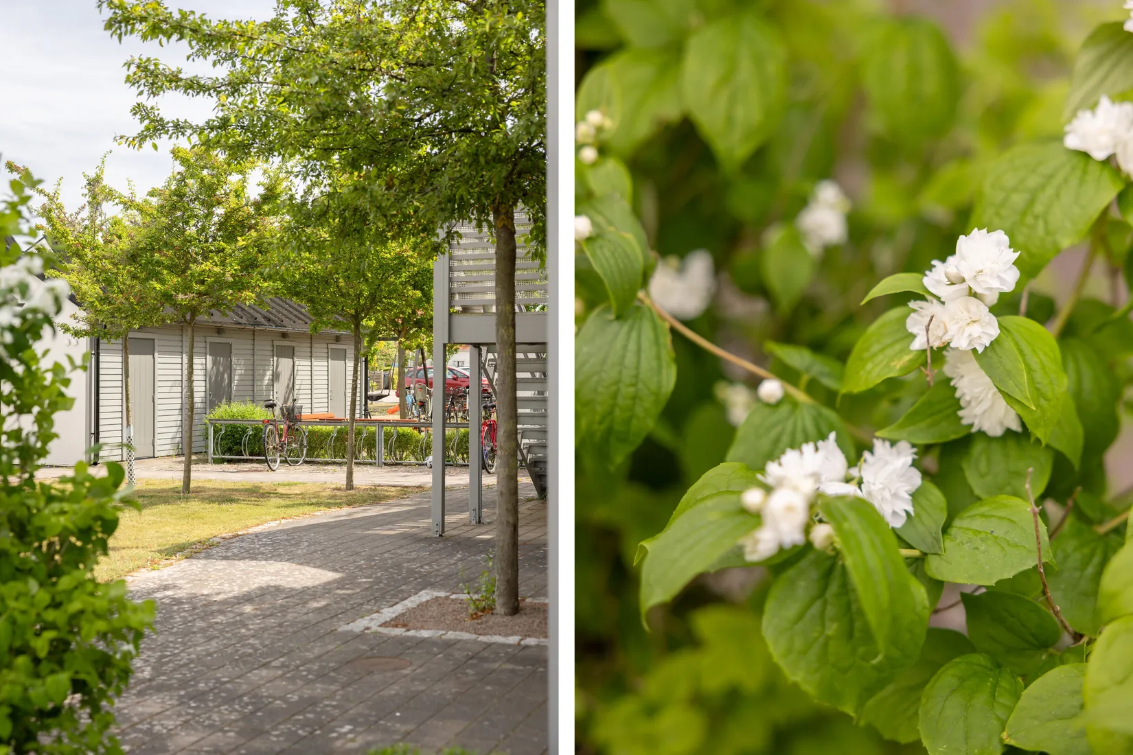 Bostadsrätt, Kålhagegränd 18B, Vintrie, Malmö
