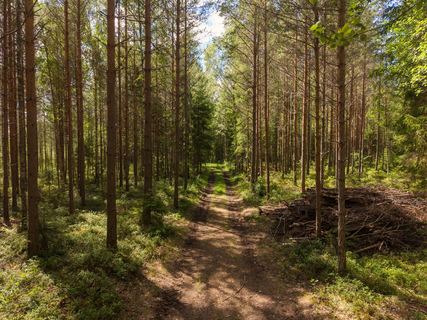 Tomt, Bråne/Bofasterud, Karlstad