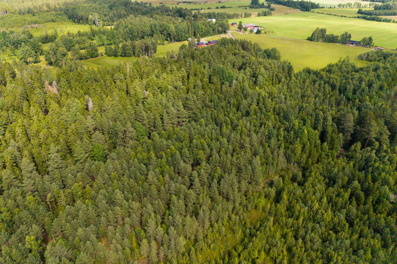 Tomt, Bråne/Bofasterud, Karlstad
