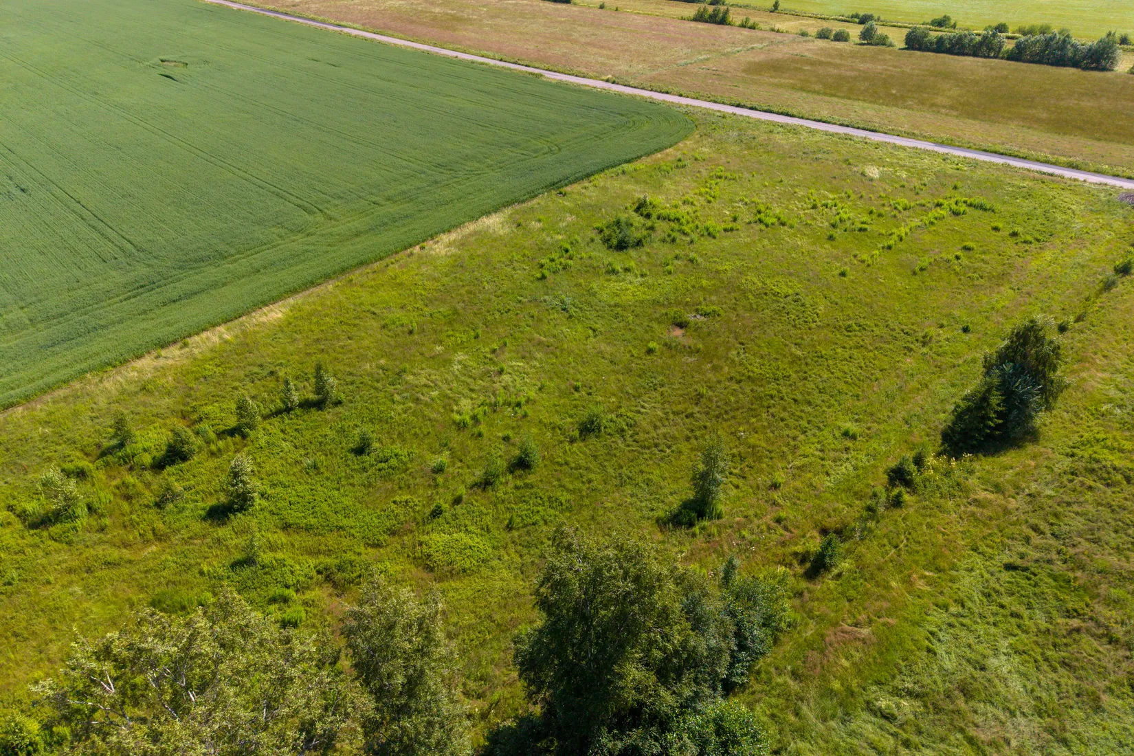 Tomt, Bråne/Bofasterud (Tomt 1 ha), Karlstad