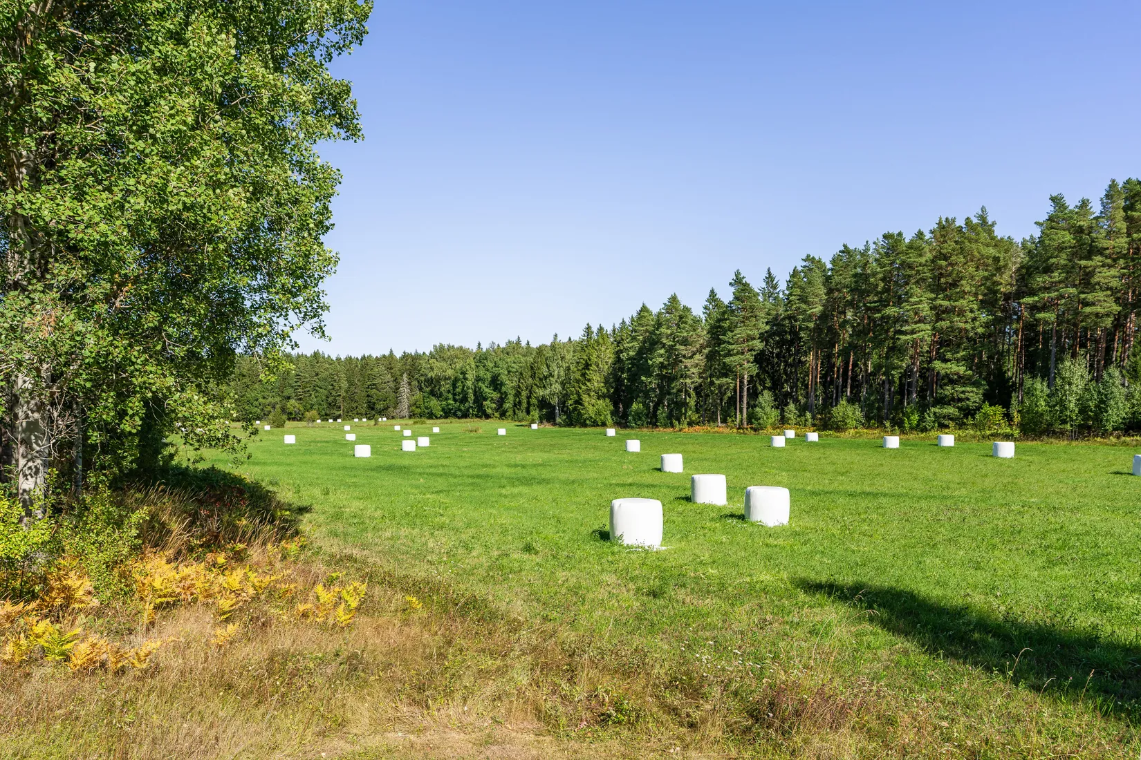 Villa, Grönö 234, Skärplinge, Tierp