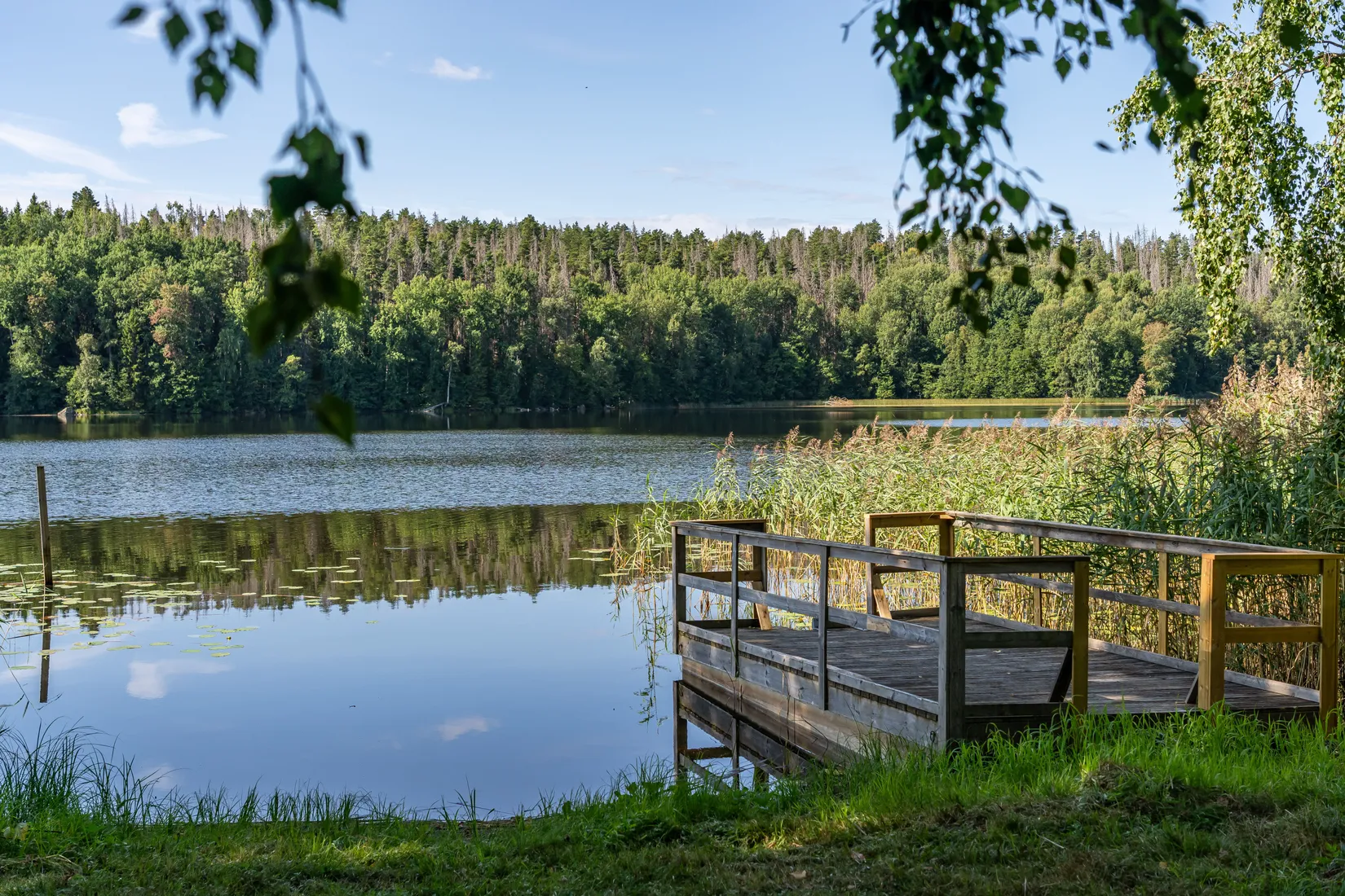 Gård/Skog, Hosjö Skattgård 1, Malmköping, Flen