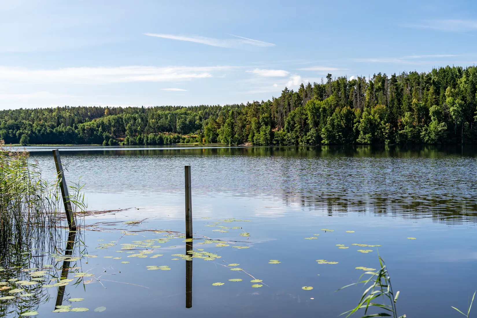 Gård/Skog, Hosjö Skattgård 1, Malmköping, Flen