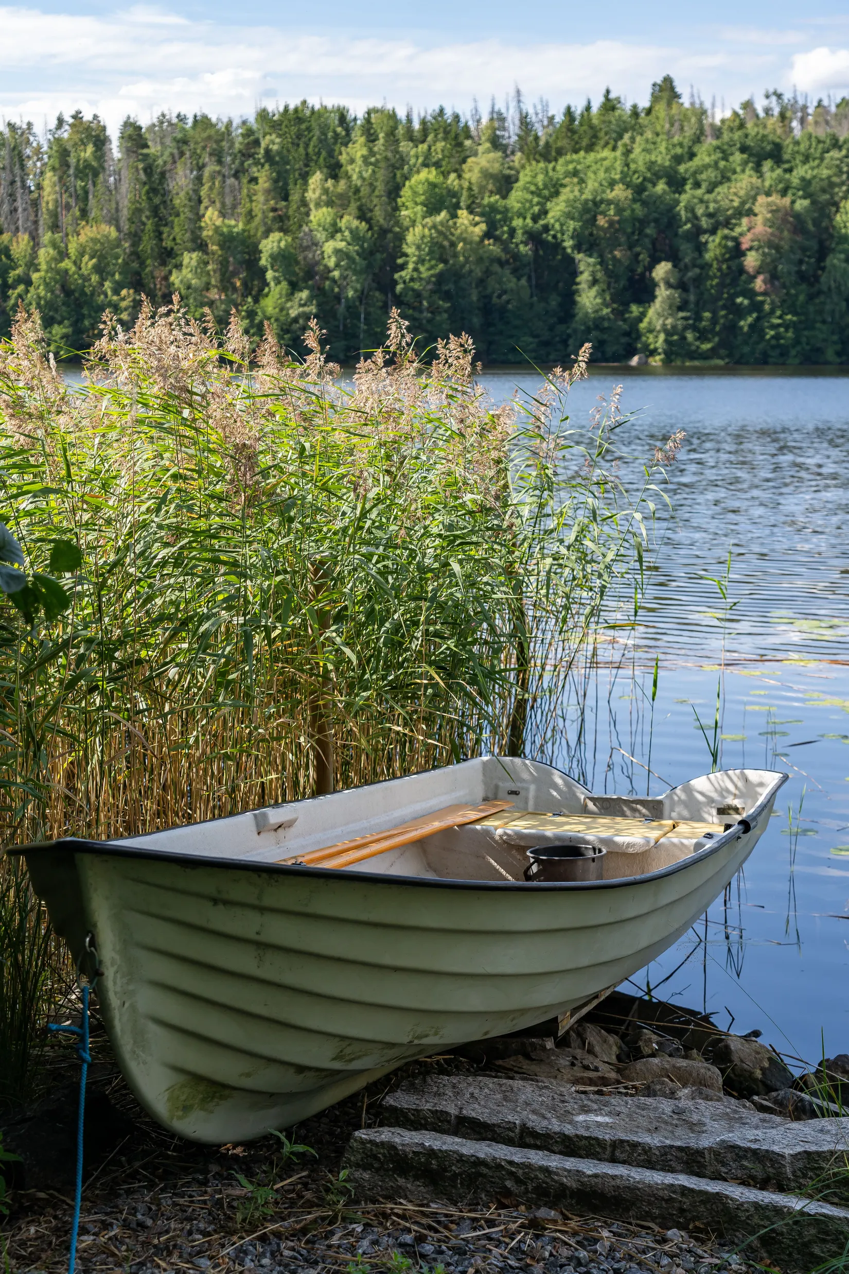 Gård/Skog, Hosjö Skattgård 1, Malmköping, Flen
