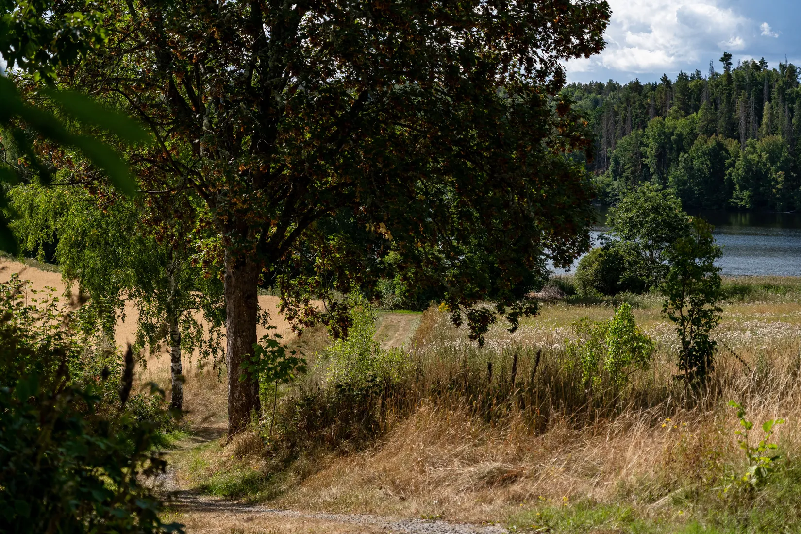 Gård/Skog, Hosjö Skattgård 1, Malmköping, Flen