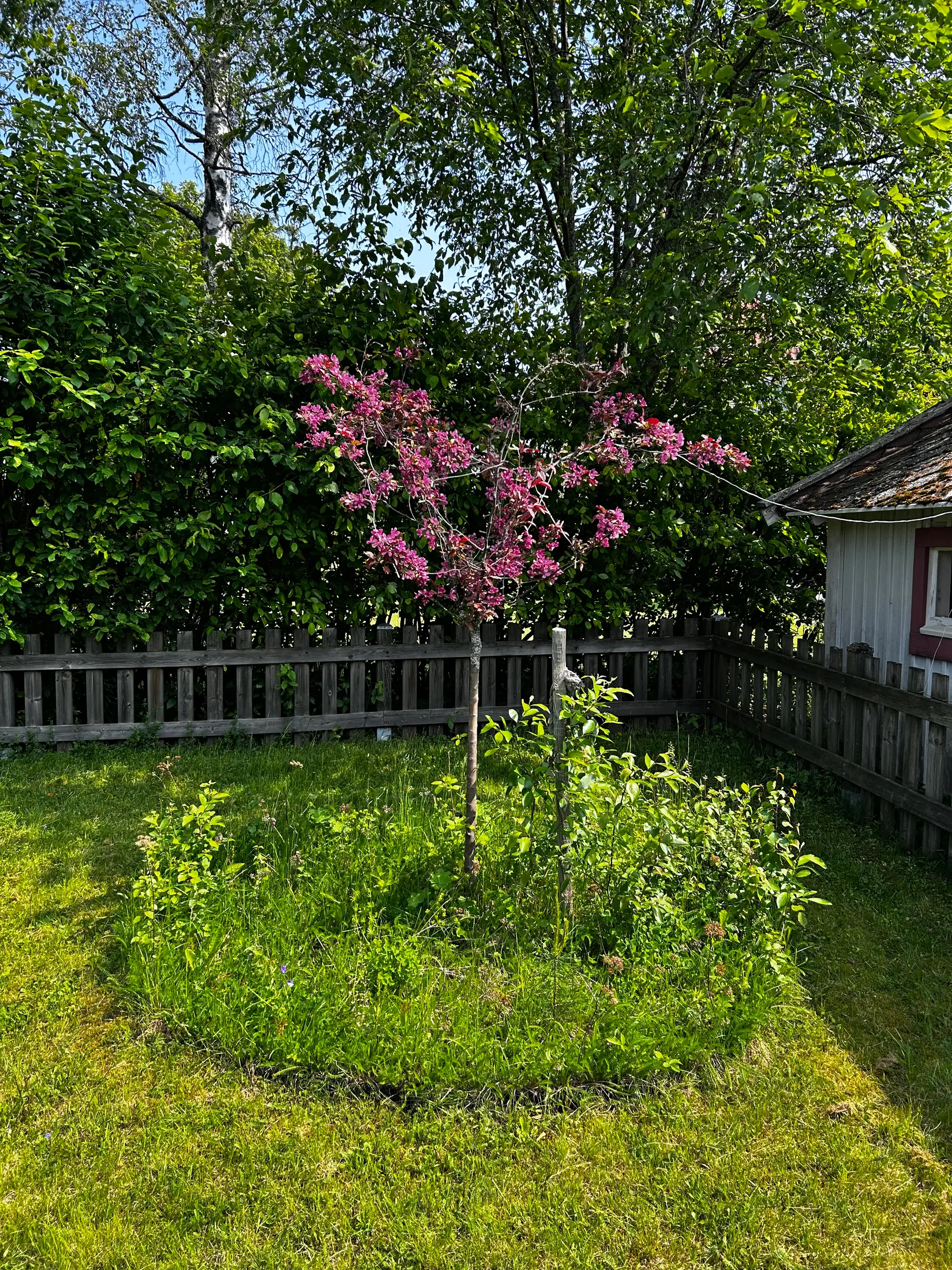 Radhus, Karlsbergsvägen 8, Sidsjö, Sundsvall