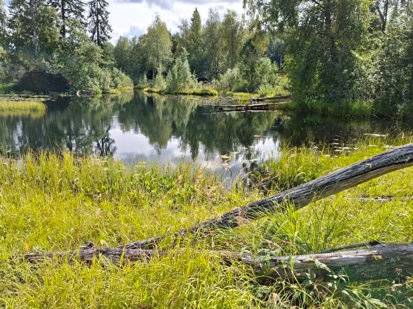Villa, Svartnäs 120, Svartnäs, Falun