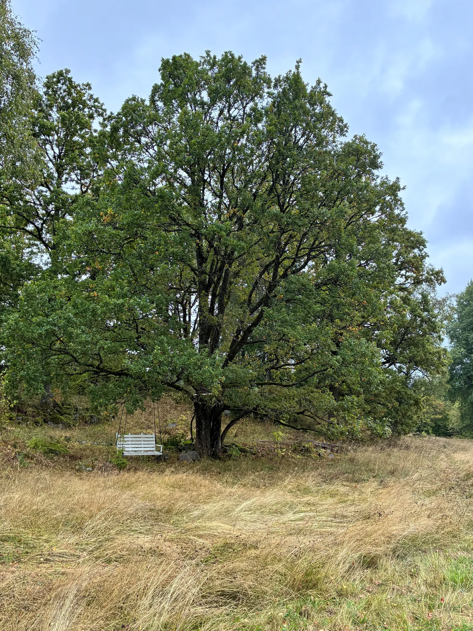 Gård/Skog, Basseberg Lilla 1, Vaggeryd