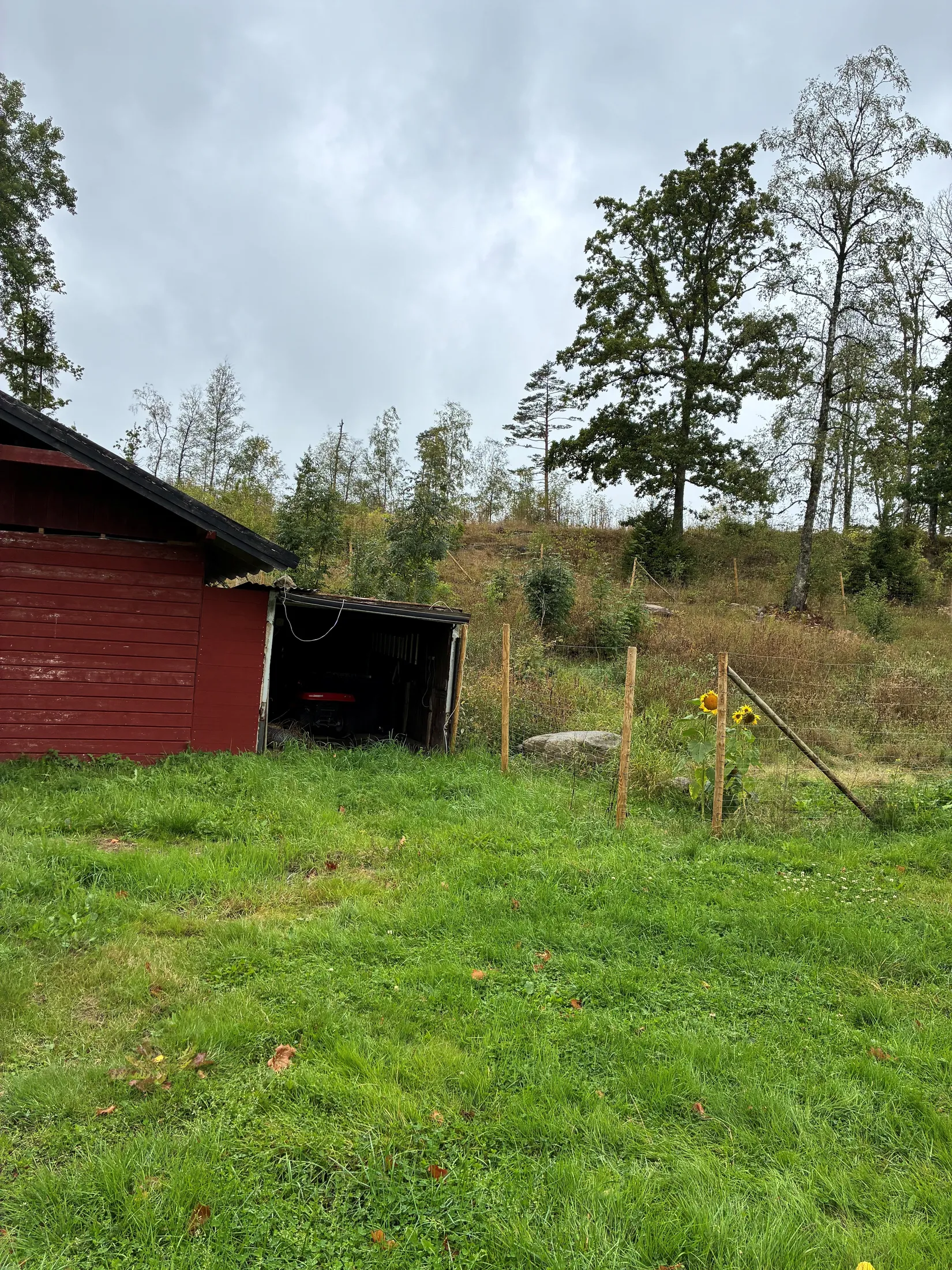 Gård/Skog, Basseberg Lilla 1, Vaggeryd