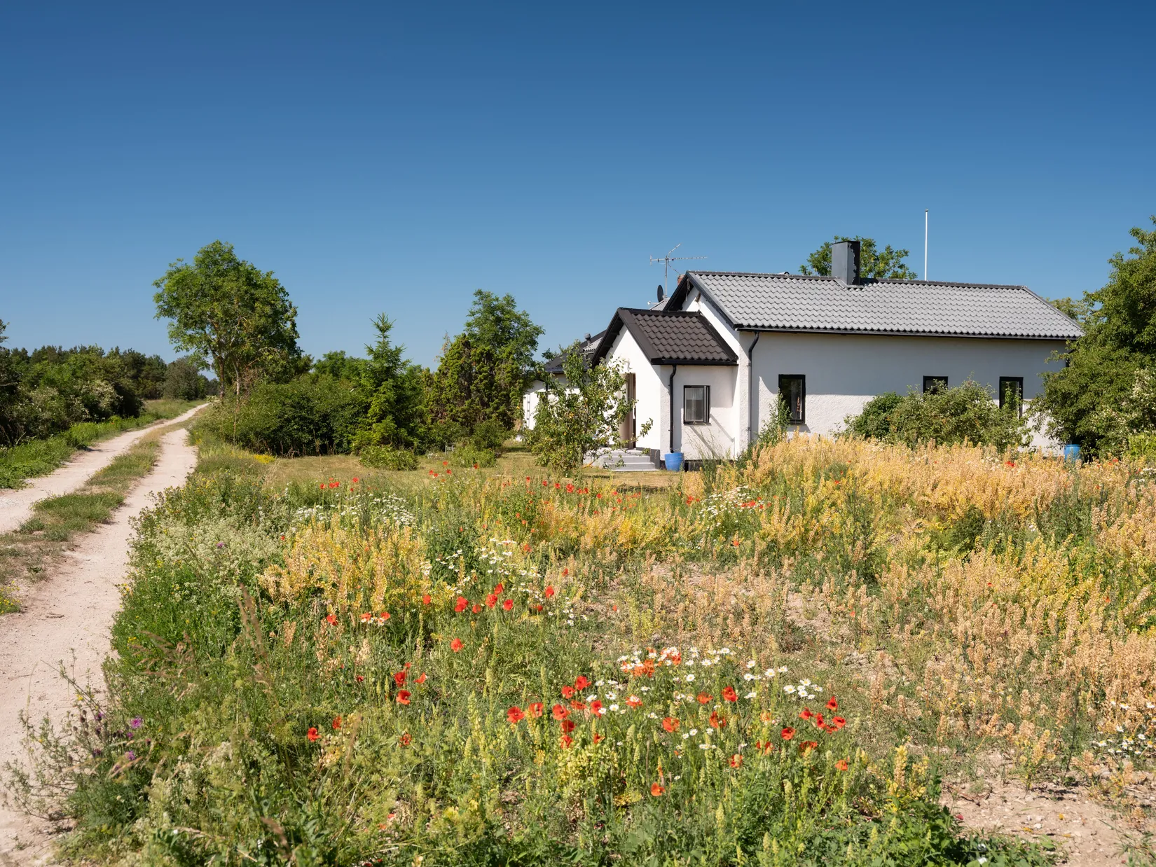 Villa, Hemse Tjängdarve 320, Gotland