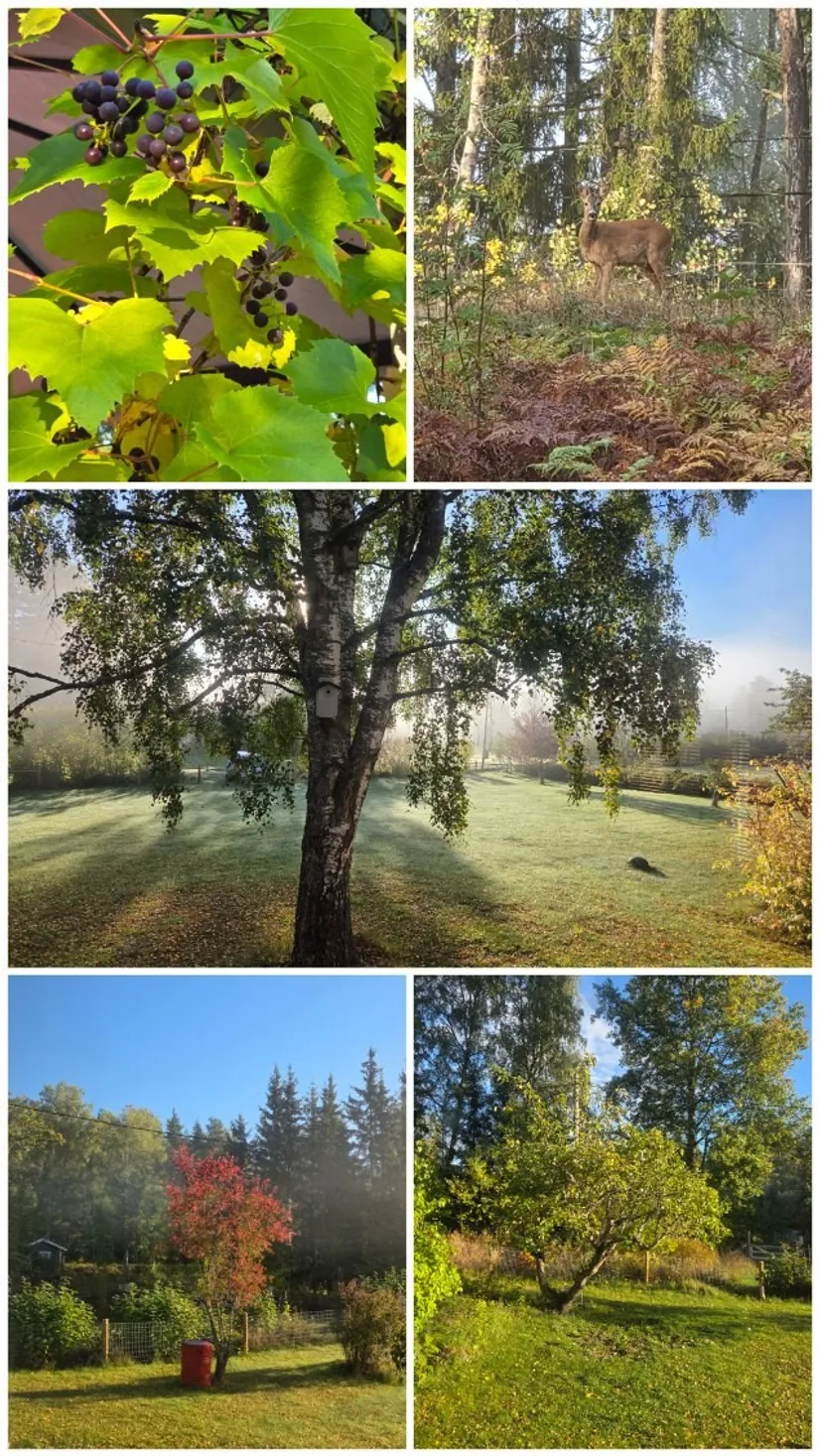 Fritidshus, Addarsnäs 9, Addarsnäs, Norrtälje