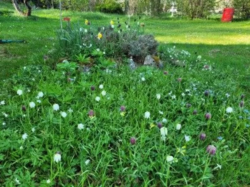 Fritidshus, Addarsnäs 9, Addarsnäs, Norrtälje