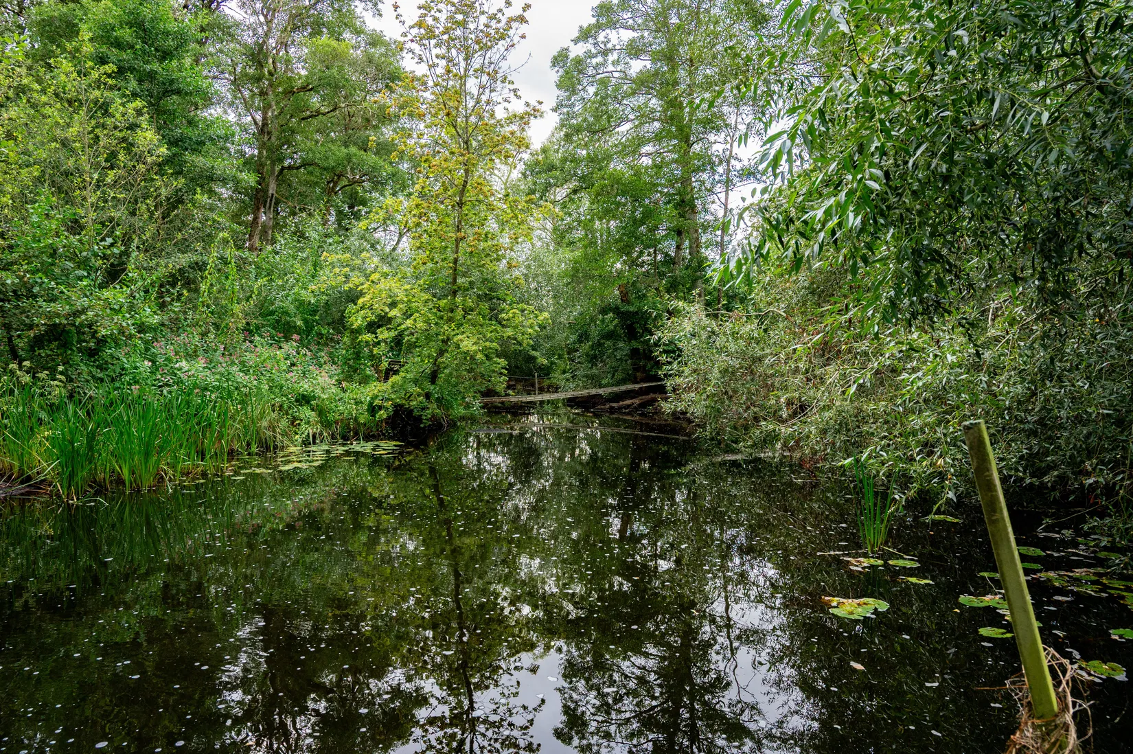 Villa, Marum Hospitalskvarn 2, Ardala, Skara