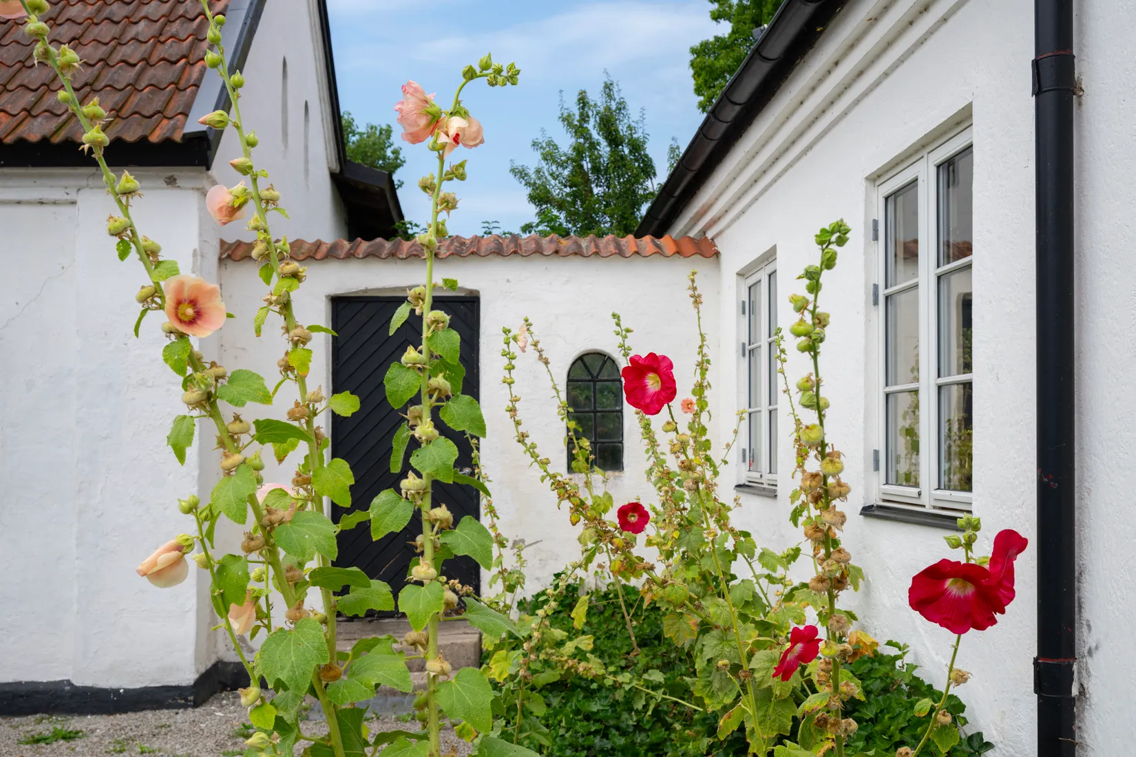 Gård/Skog, Lyckebovägen 248-0, Maglarp, Trelleborg