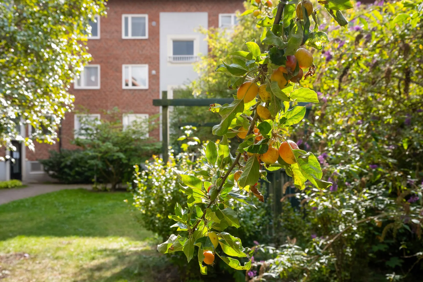 Bostadsrätt, Köpmansgatan 2A, Södra Sofielund, Malmö