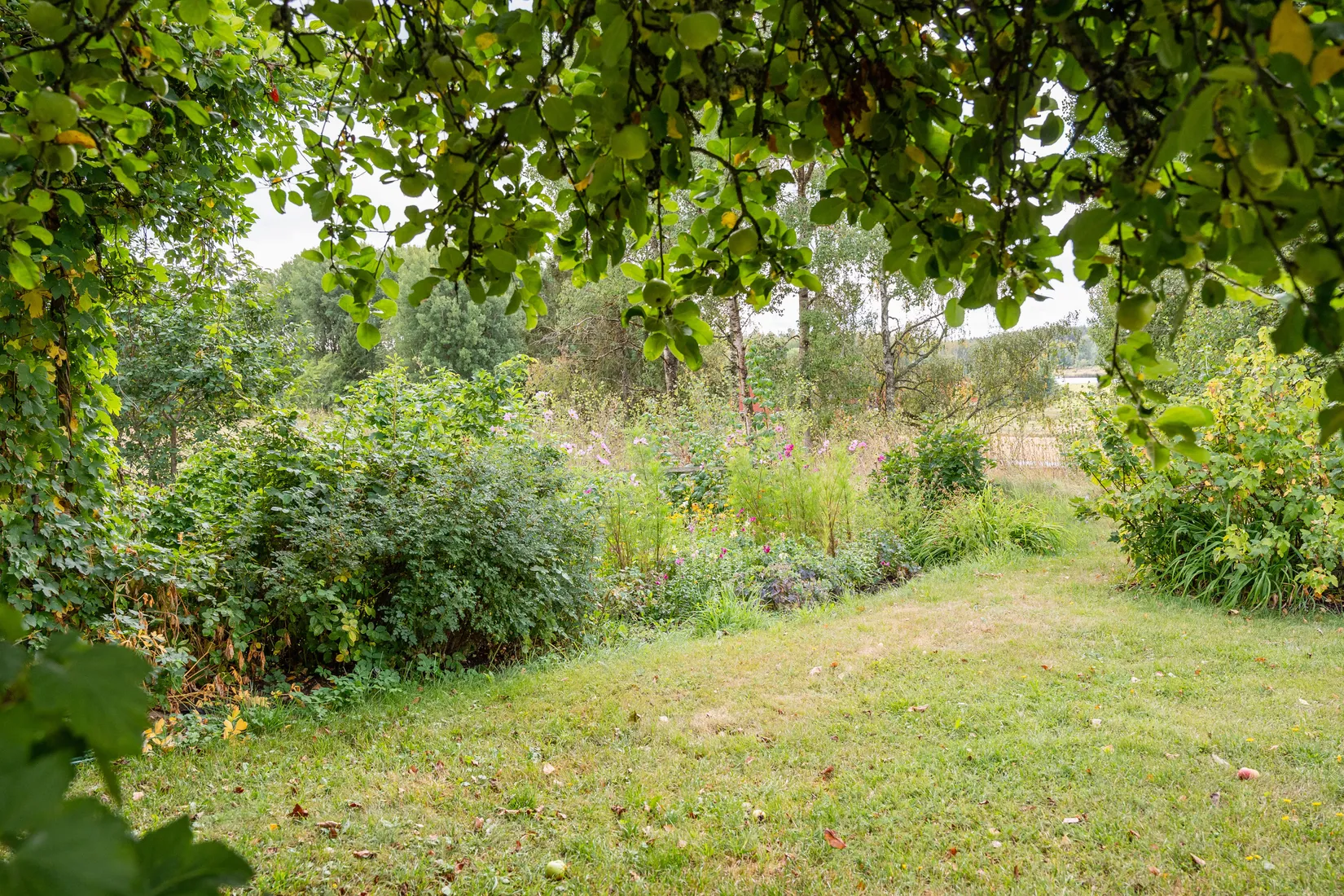 Fritidshus, Hösterum Tallborg 1, Söderköping