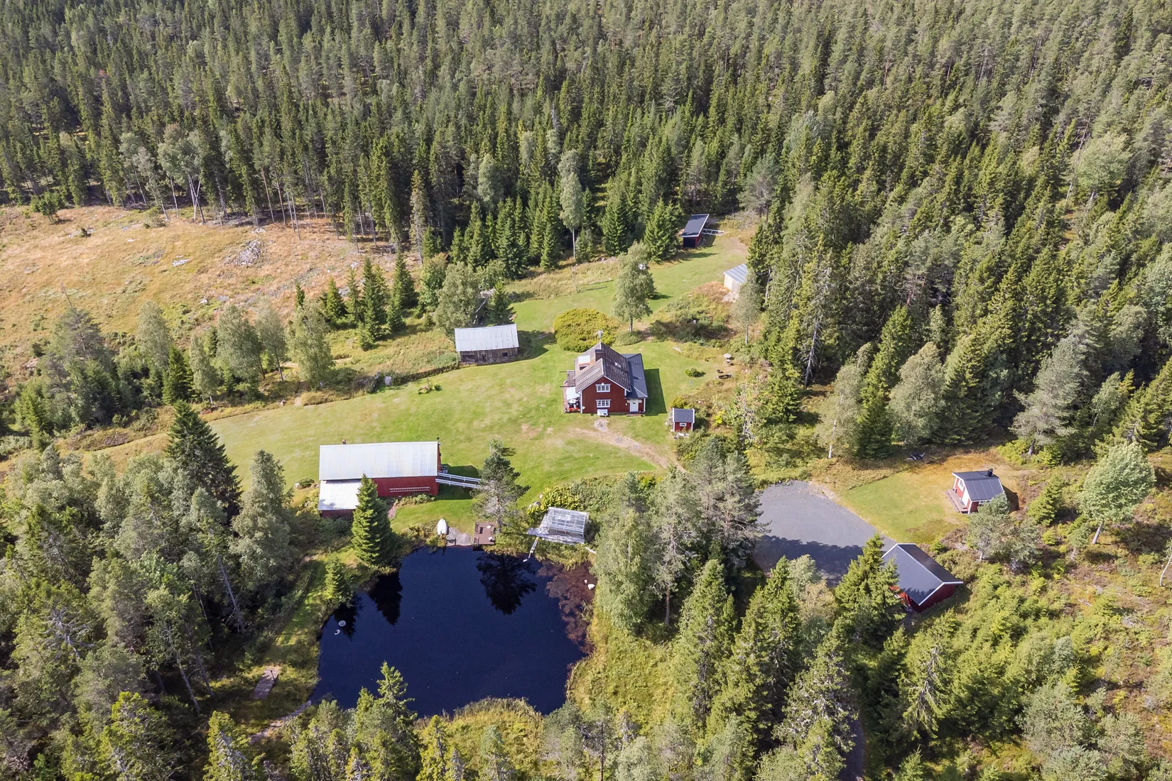 Gård/Skog, Ormhöjden Henrikstorp 1, Lekvattnet, Torsby