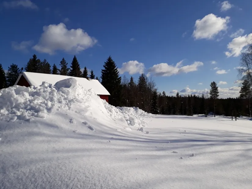 Gård/Skog, Ormhöjden Henrikstorp 1, Lekvattnet, Torsby