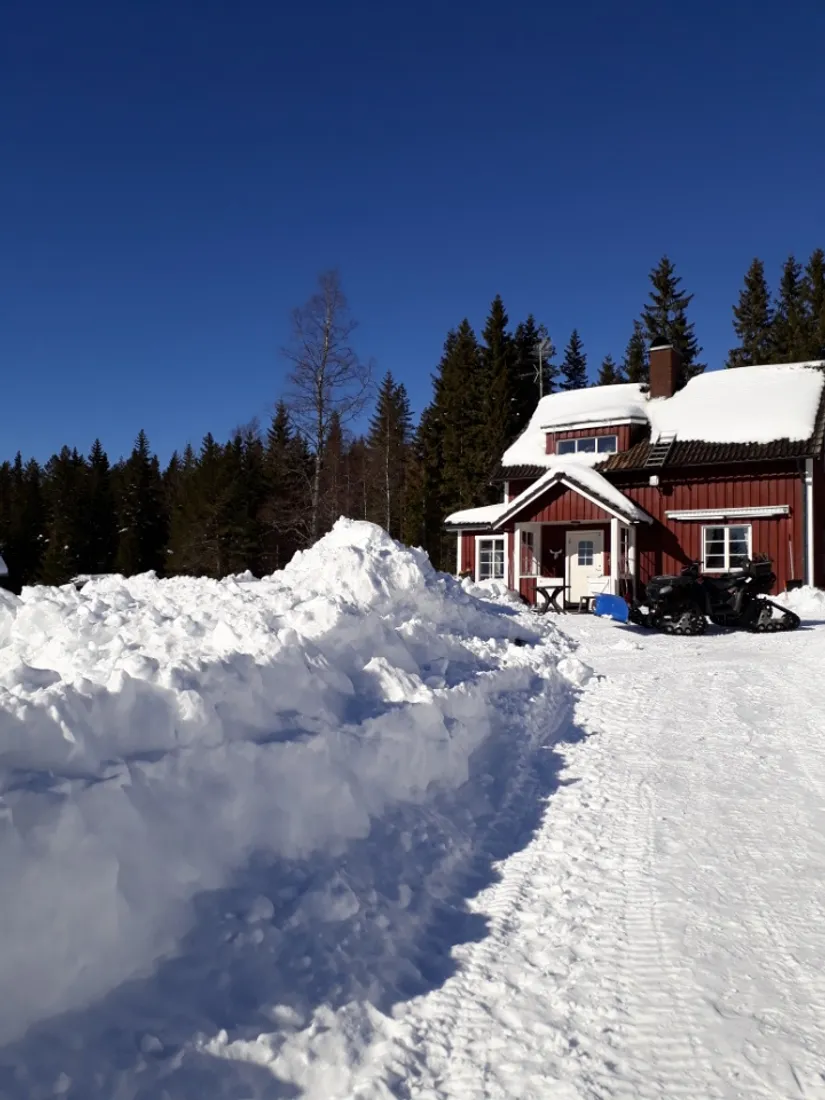 Gård/Skog, Ormhöjden Henrikstorp 1, Lekvattnet, Torsby