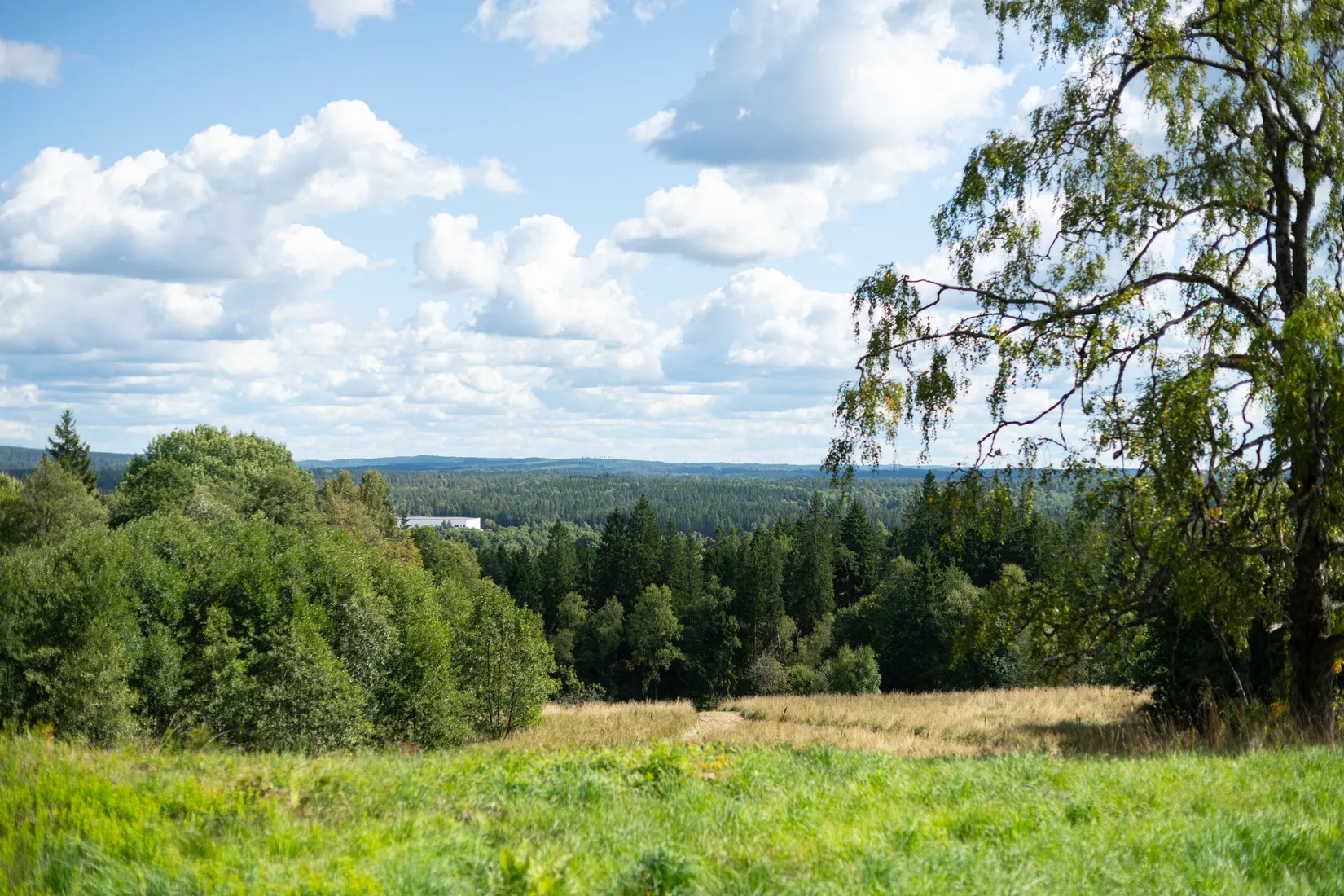 Villa, Viseberg 5, Svenljunga