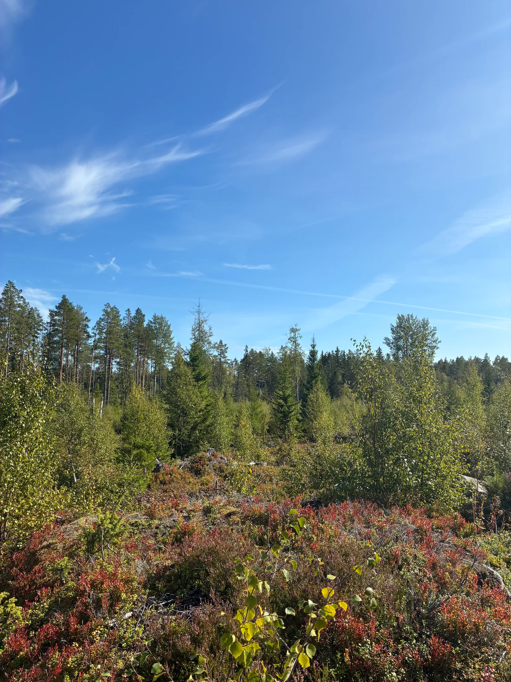 Gård/Skog, HÄRNÖSAND HÄGGDÅNGERS-BY 2:4, Härnösand
