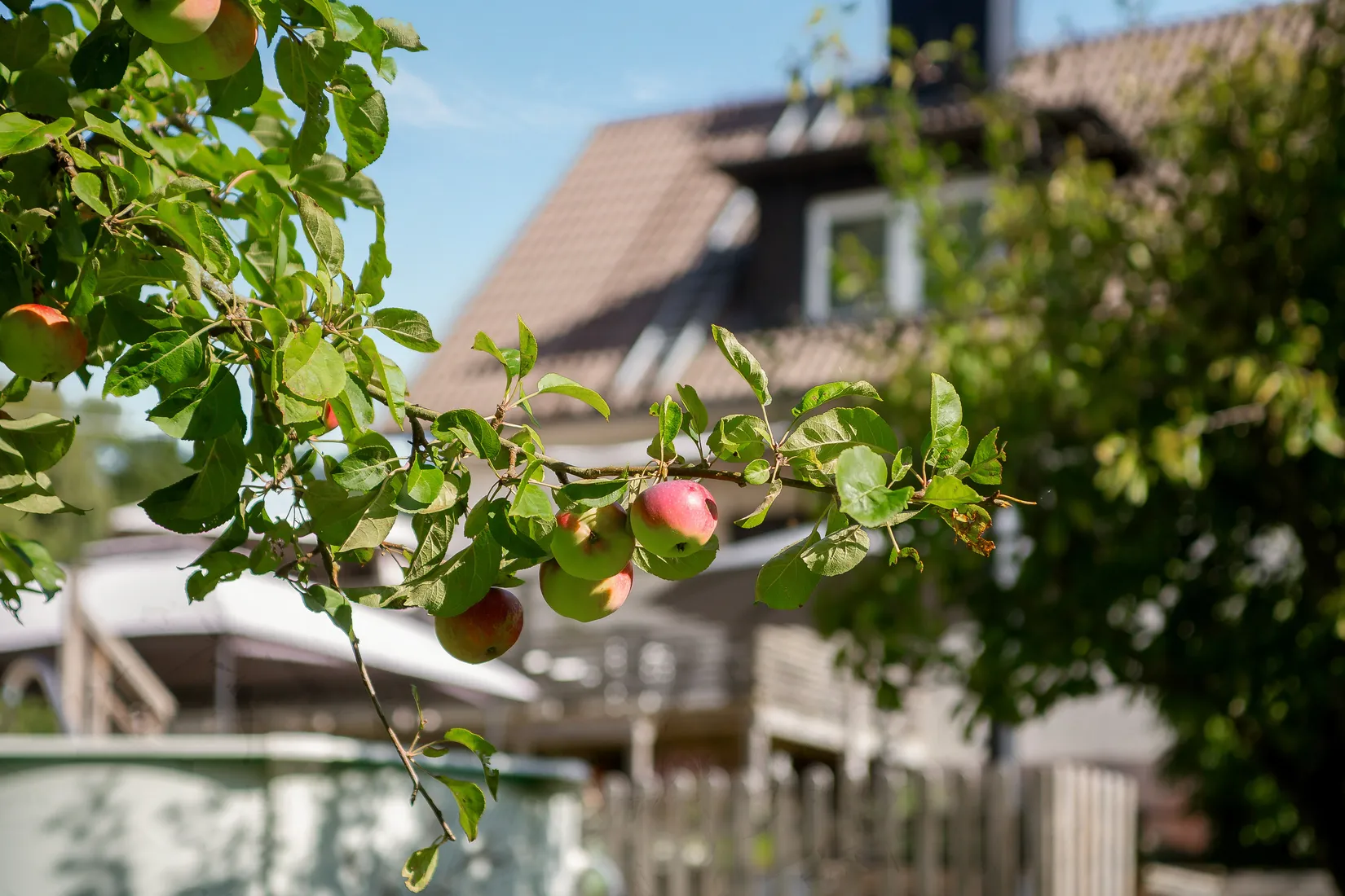 Villa, Hjärnarpsvägen 43, Ängelholm