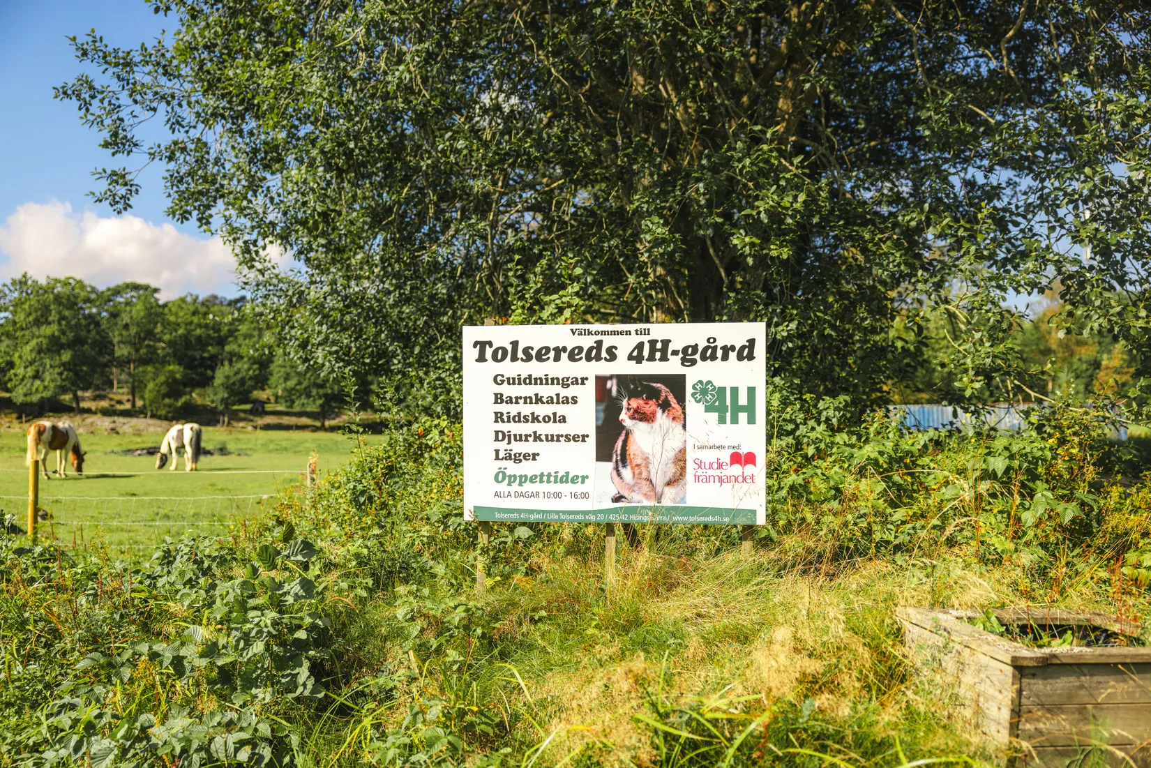 Bostadsrätt, Solhagagatan 88, Hisings Kärra, Göteborg