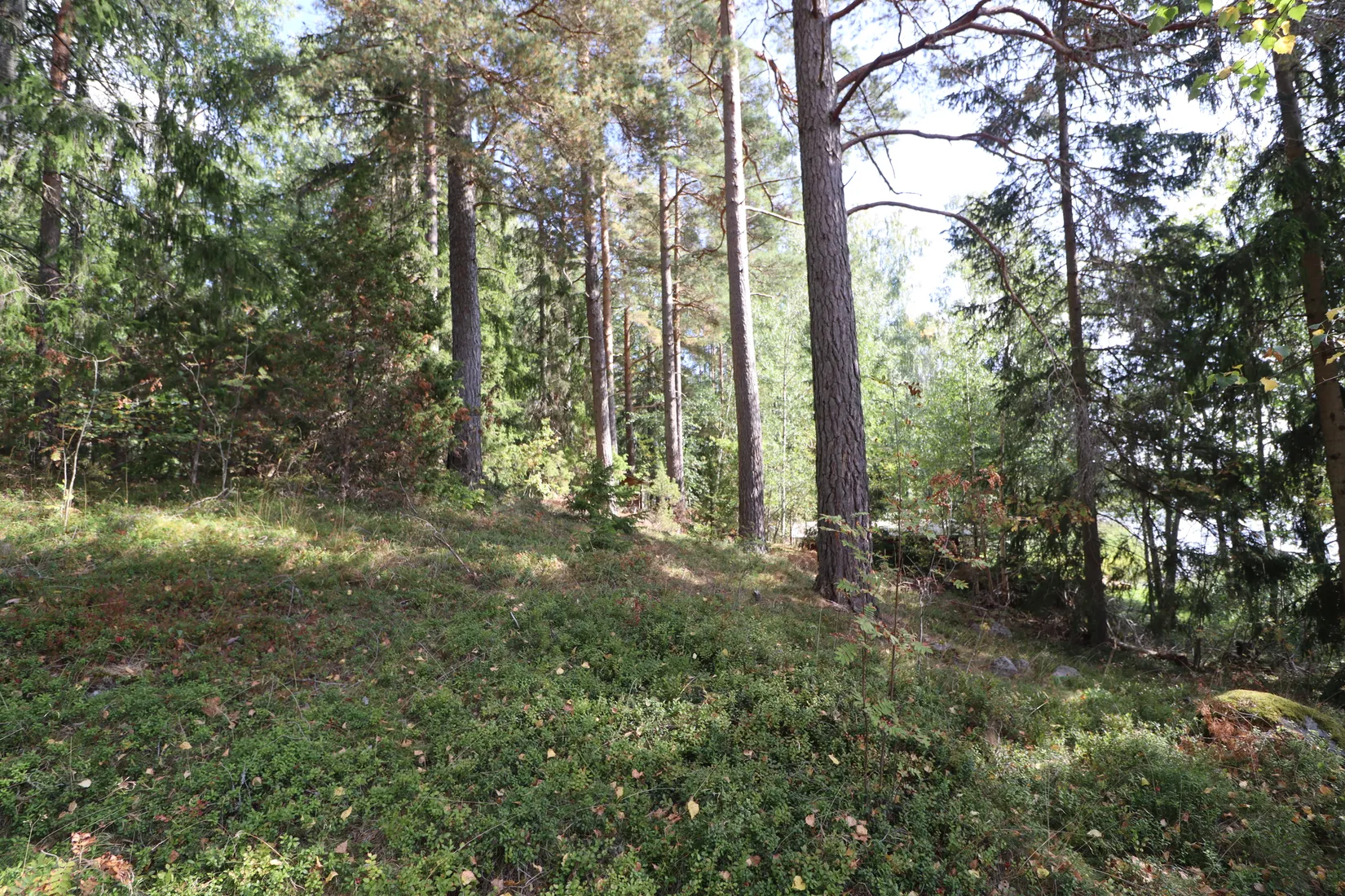 Fritidshus, Sättrabyvägen 133 och 131B, Sättraby, Norrtälje