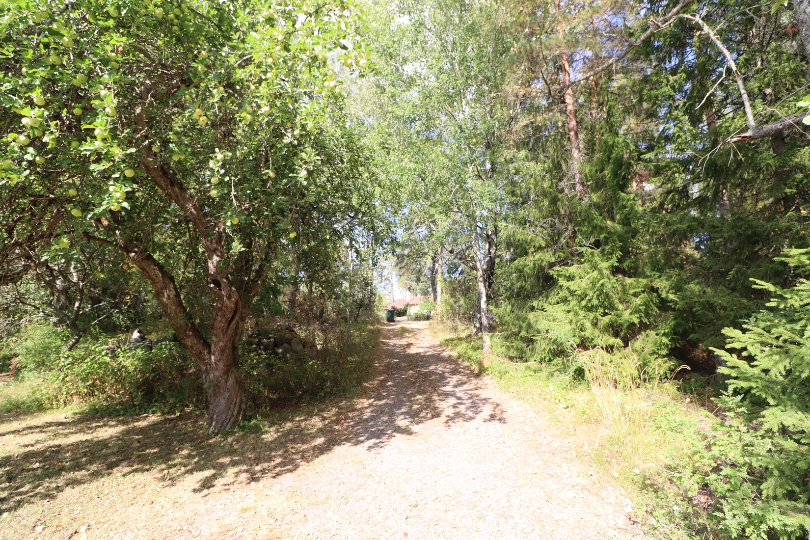 Fritidshus, Sättrabyvägen 133 och 131B, Sättraby, Norrtälje