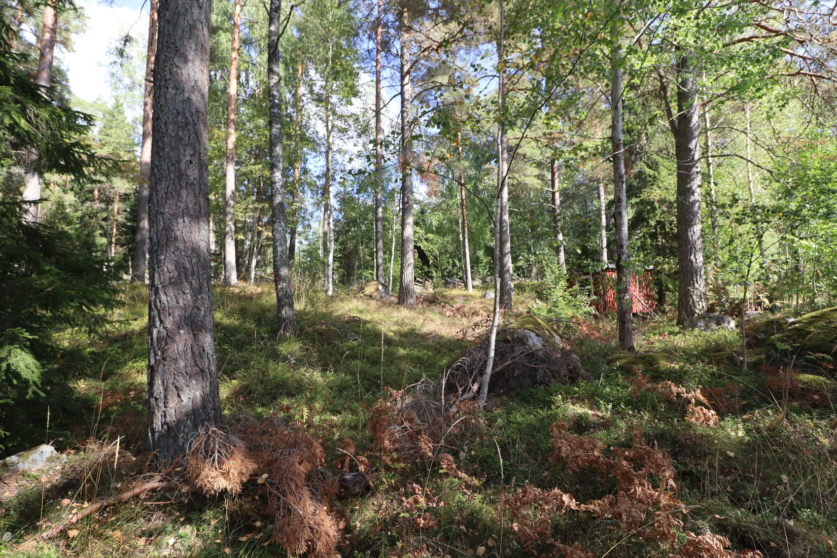 Fritidshus, Sättrabyvägen 133 och 131B, Sättraby, Norrtälje