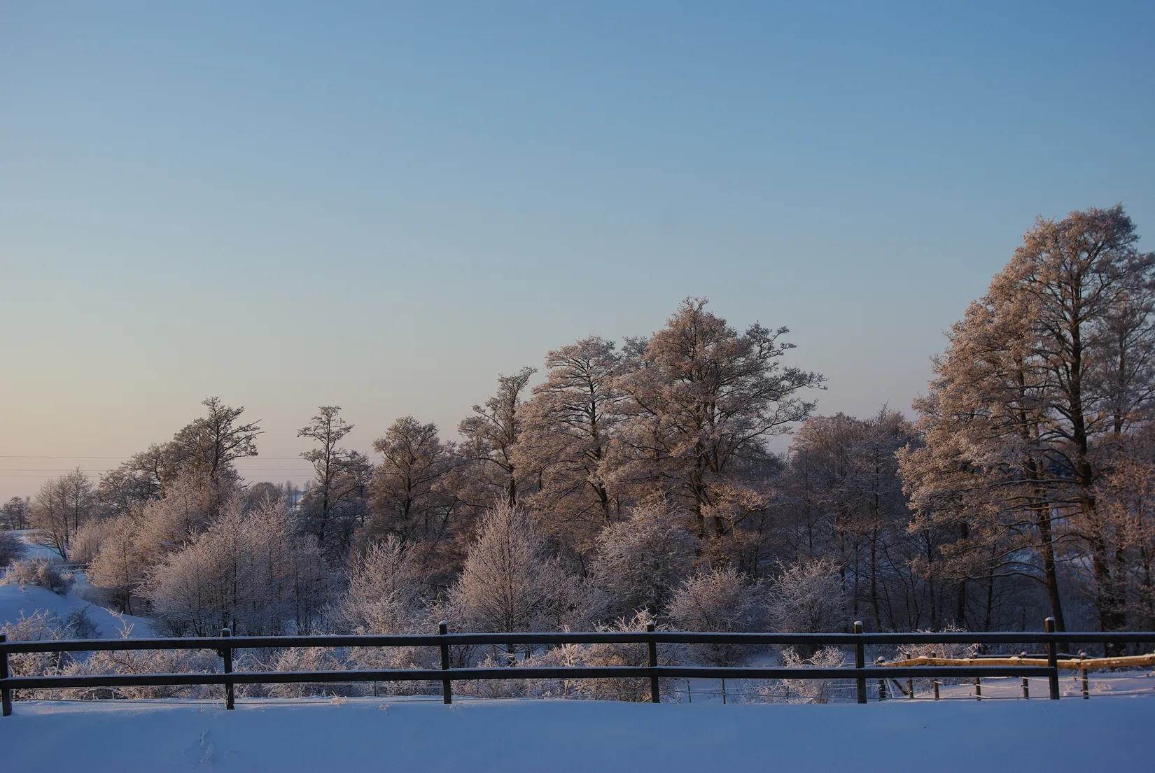 Gård/Skog, Yngsjövägen 263, Yngsjö, Kristianstad