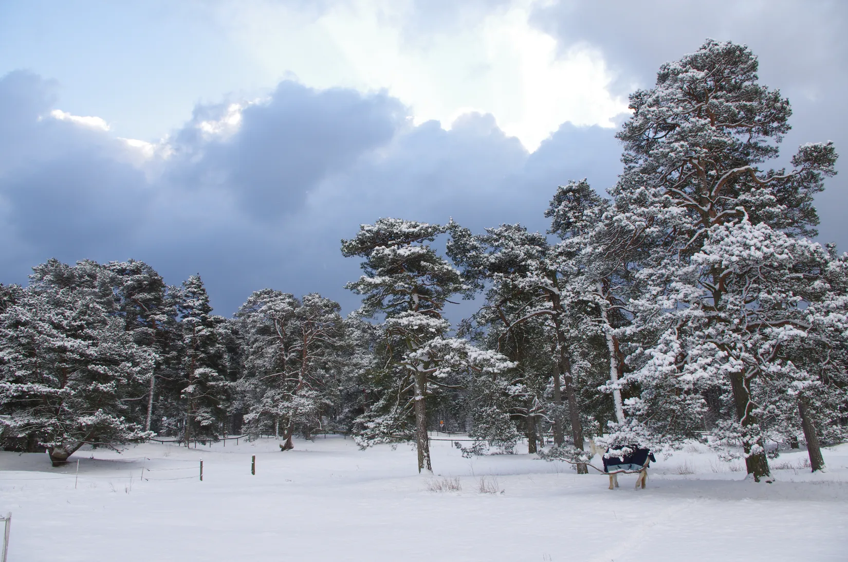 Gård/Skog, Yngsjövägen 263, Yngsjö, Kristianstad