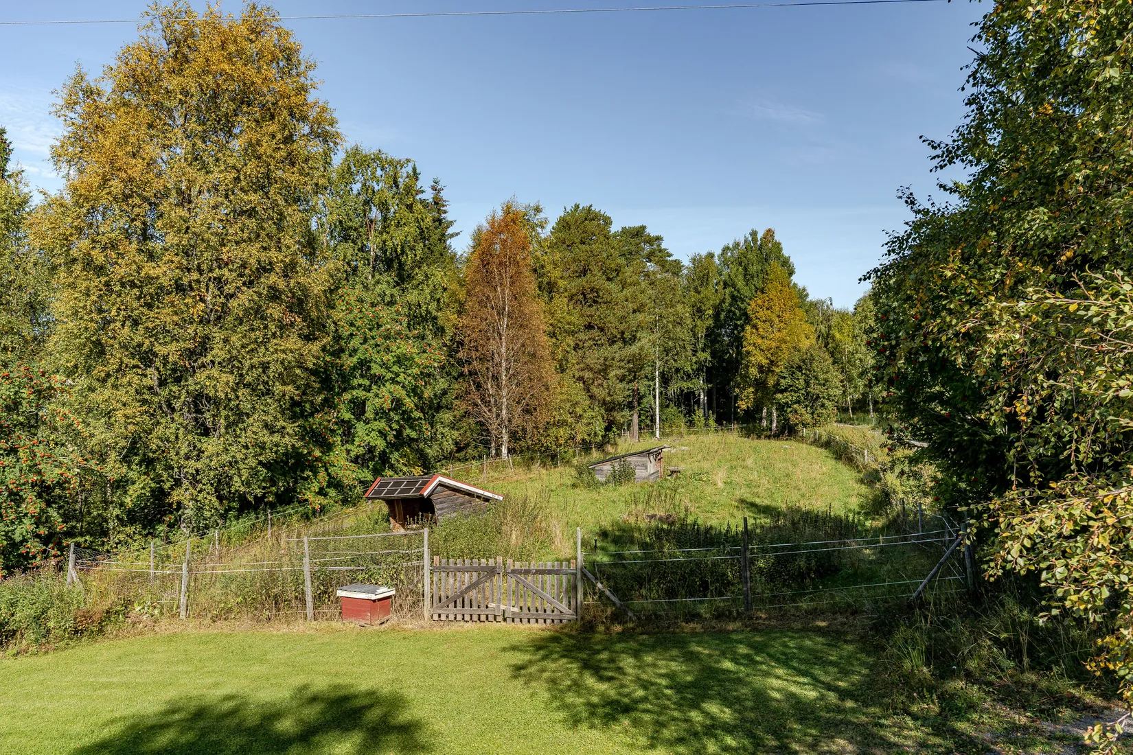 Gård/Skog, Brunflo-Svedje 320, Svedje, Östersund