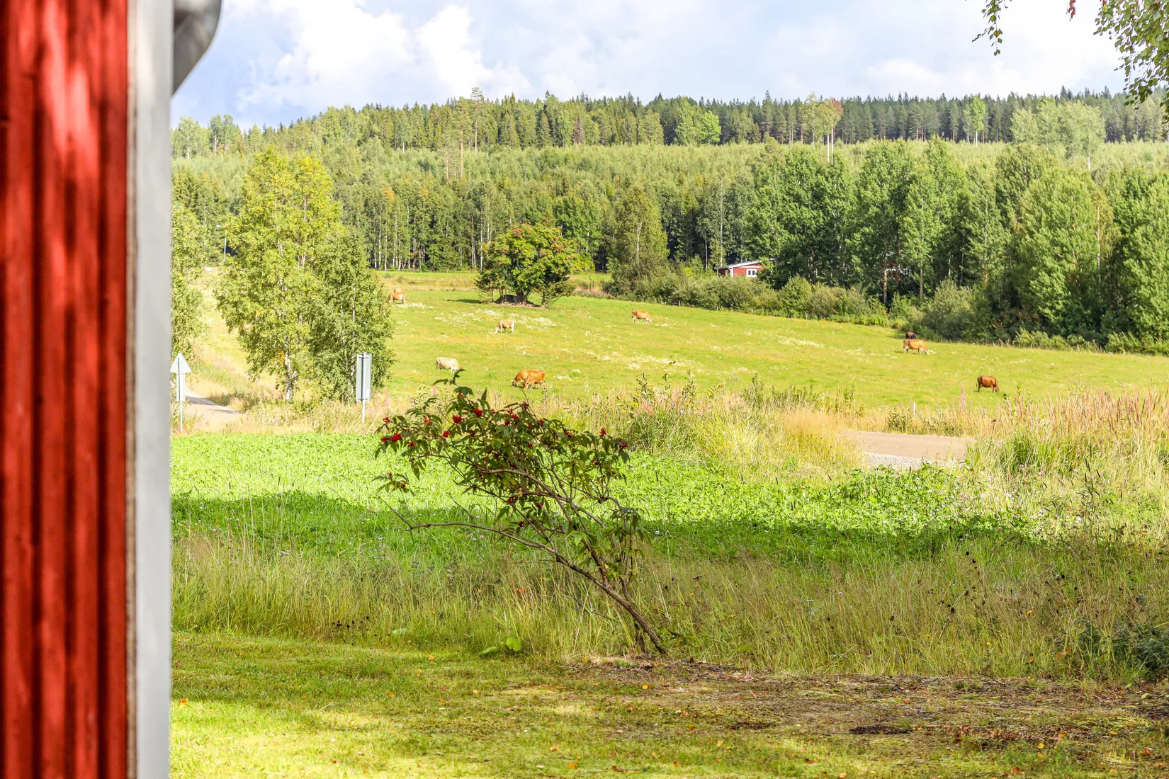 Fritidshus, Degerås 11, Vindeln