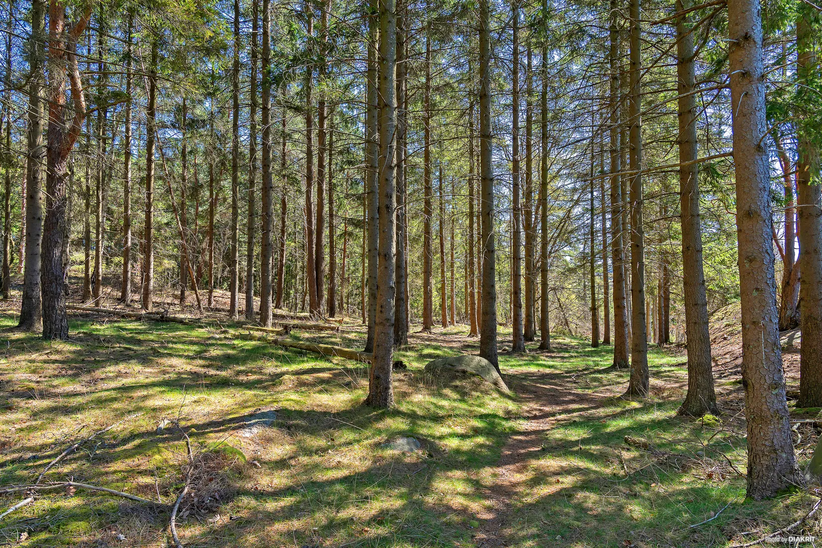 Övrigt, Granhamnsvägen 11, Hallagården, Varberg
